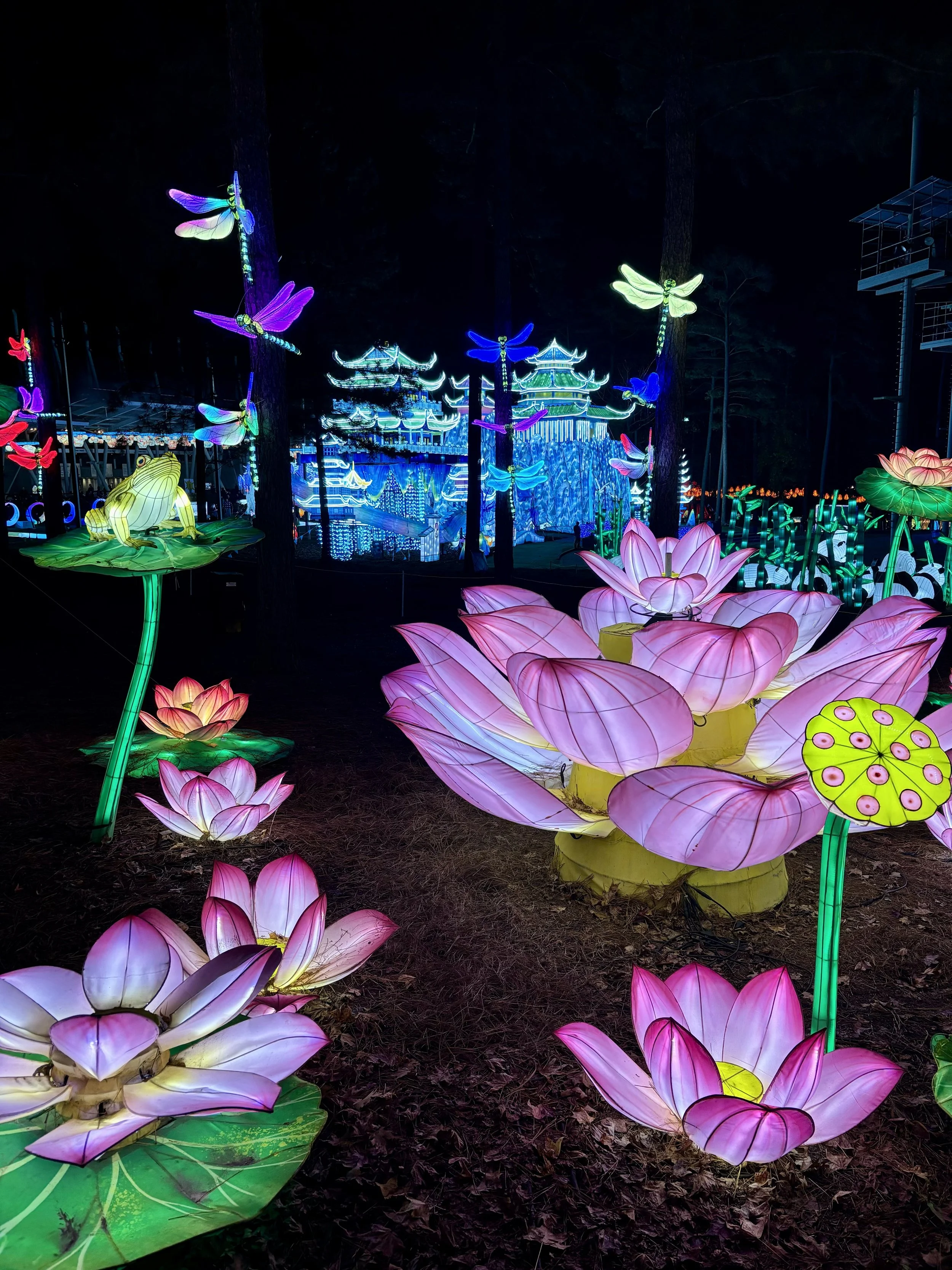 Koka Booth Chinese Lantern Festival