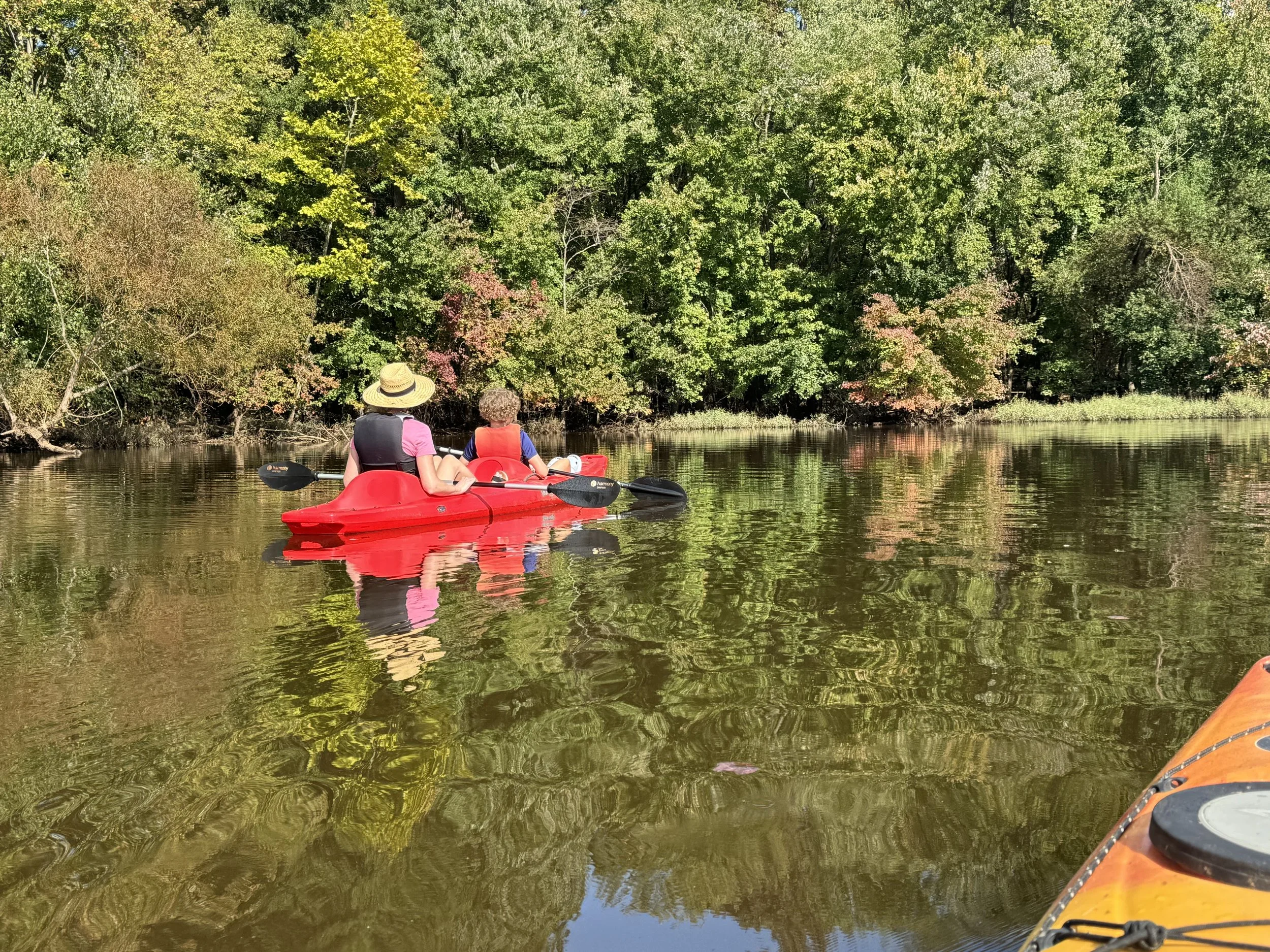 Kayaking at Bond Park