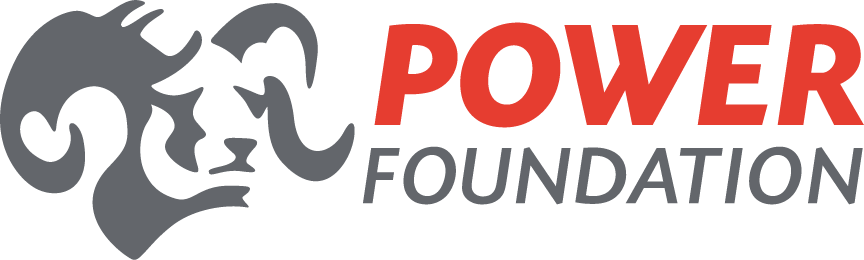 Logo for Power Foundation featuring a stylized gray lion's head and bold red and black text.