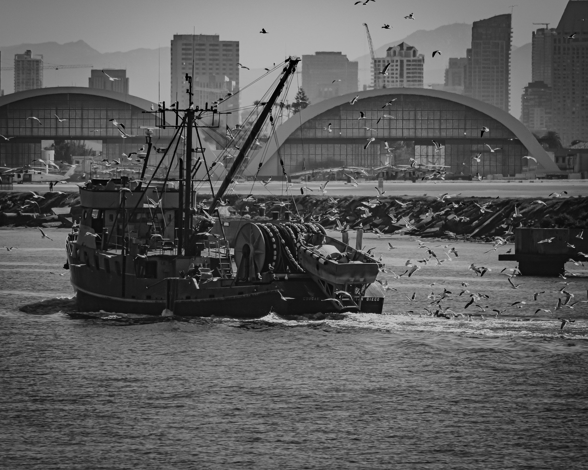 A black-and-white photo of a marina with a boat on the water, seagulls flying, and a cityscape with tall buildings and mountains in the background.