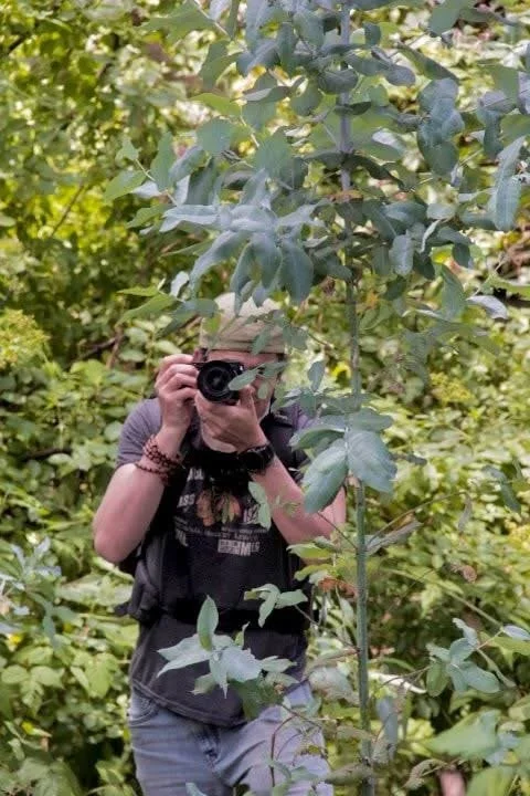 Person taking a photo in a lush green outdoor setting with large leafy plants.