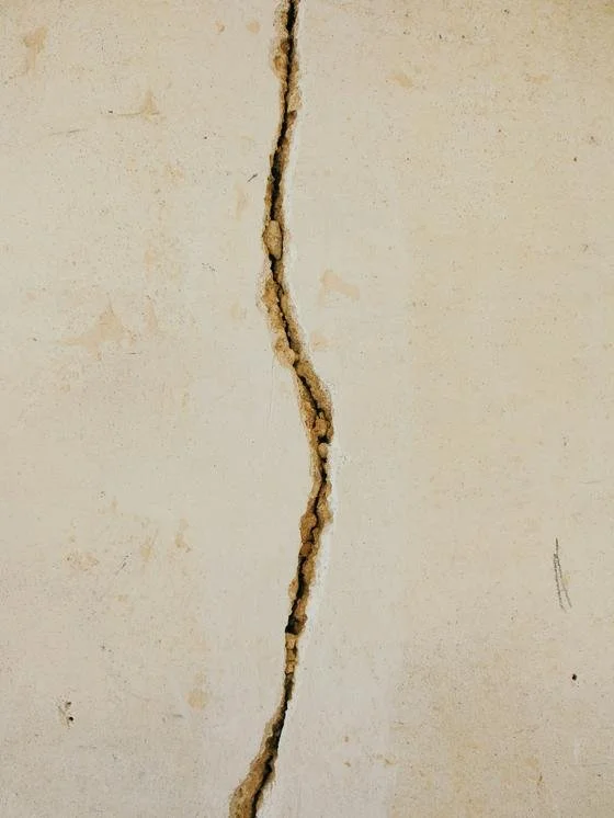 March 2026 Business Trends: AI, Burnout, Change Management