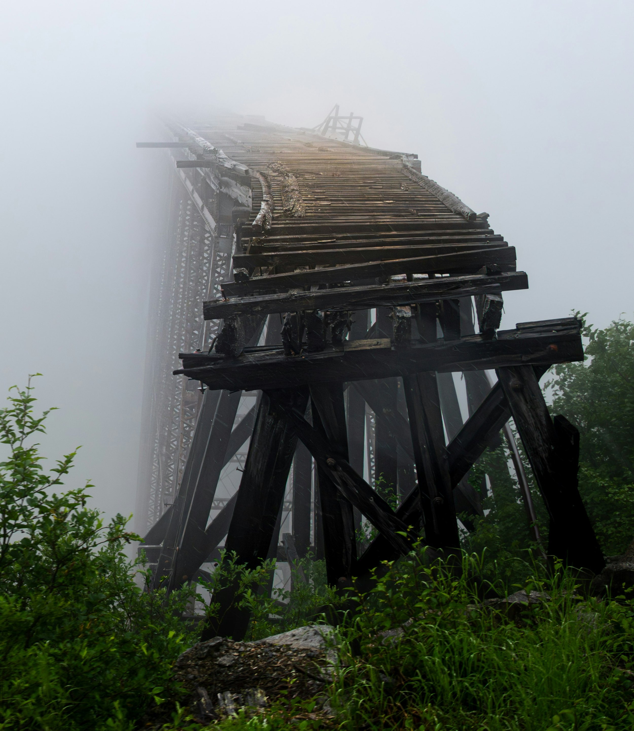 An old, broken bridge looms through the fog, with its decaying wooden planks stretching into the mist, evoking a sense of the unknown