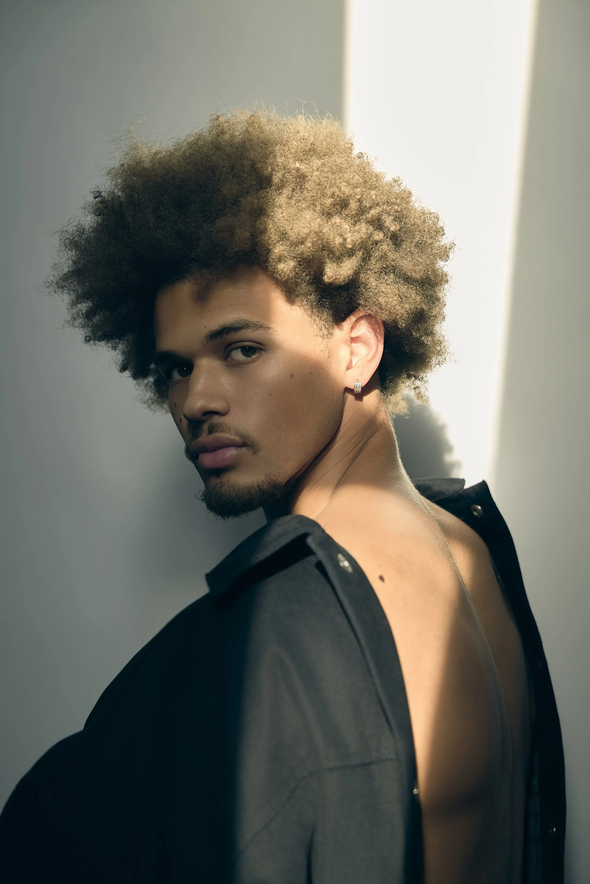 Beau, WILHELMINA11451_(2).jpg