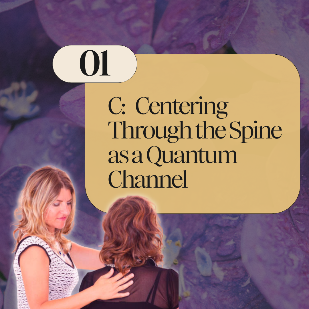 A woman in a white and black patterned top appears to be performing energy work or healing on another woman with reddish-brown hair wearing a black top, against a background of purple flower petals. A beige box with rounded corners contains the text: