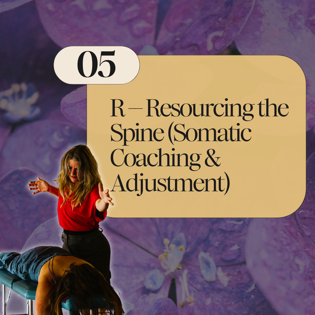 Text overlay stating '05 R – Resourcing the Spine (Somatic Coaching & Adjustment)', background image of purple flowers, woman in red shirt performing a somatic coaching session on another woman lying face down on a table.