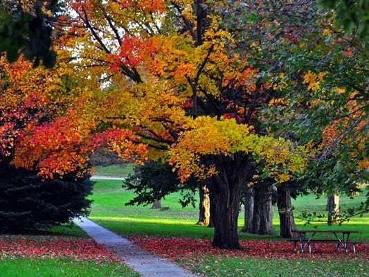 cherokee parks 1.jpg