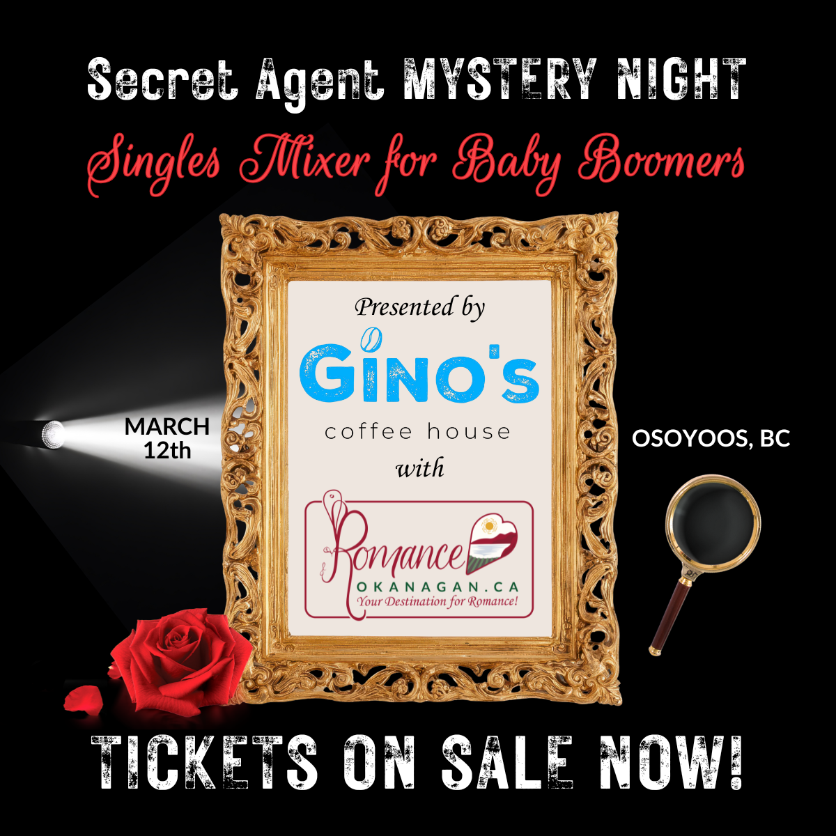 Secret Agent Mystery Night