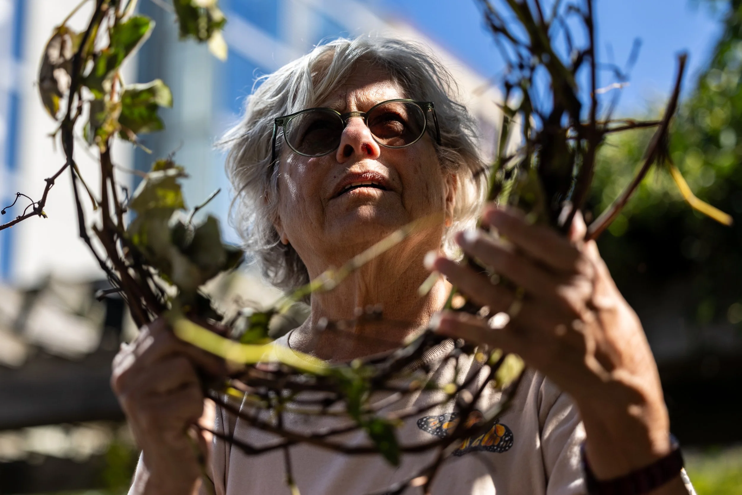 Cerie Goldenberg, 74, of Fitler Square, crafts a wreath made out of grapevines and leaves for bees to nest inside at the Schuylkill River Park Community Garden in Philadelphia on Thursday, Oct. 8, 2026. 