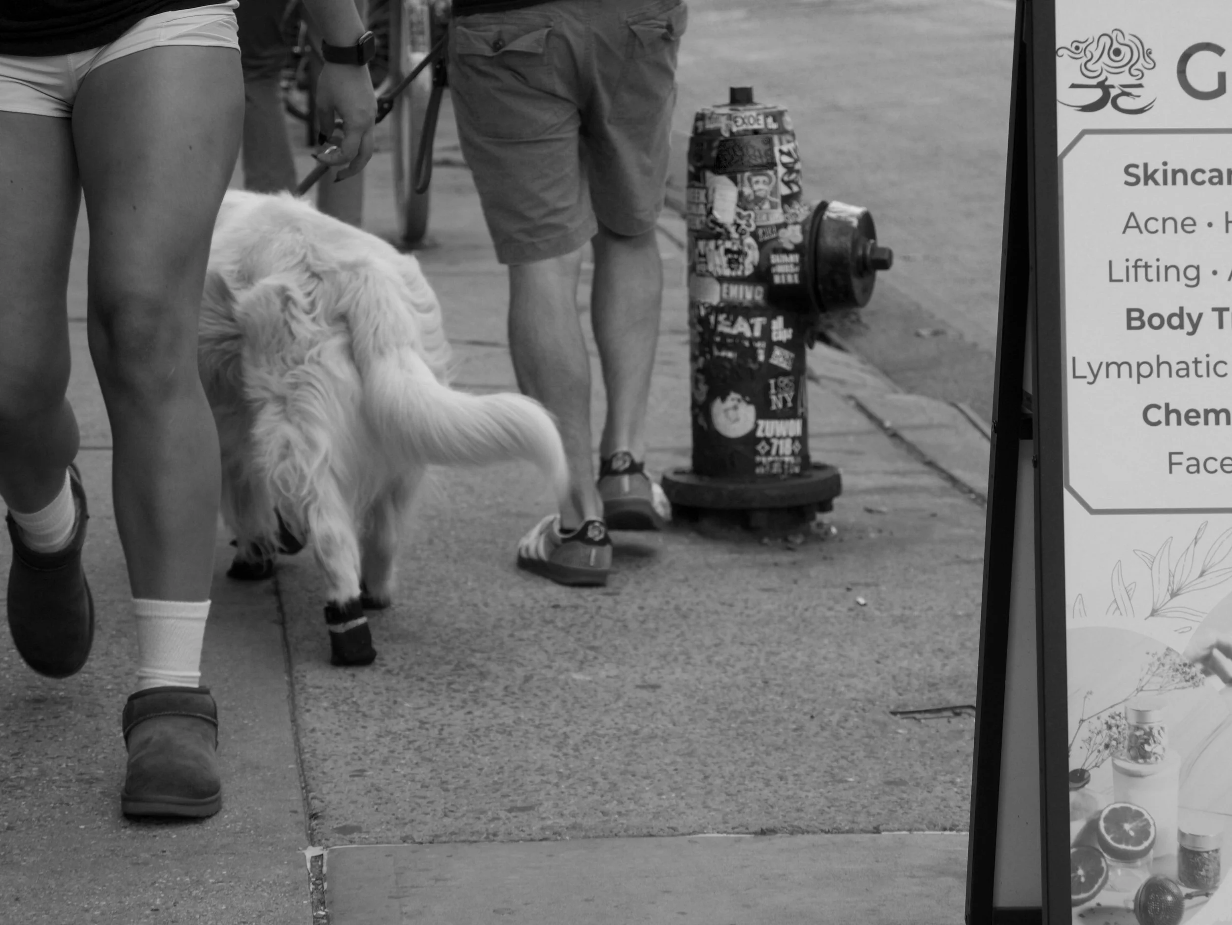 walking shoes - 2025 - Digital photograph