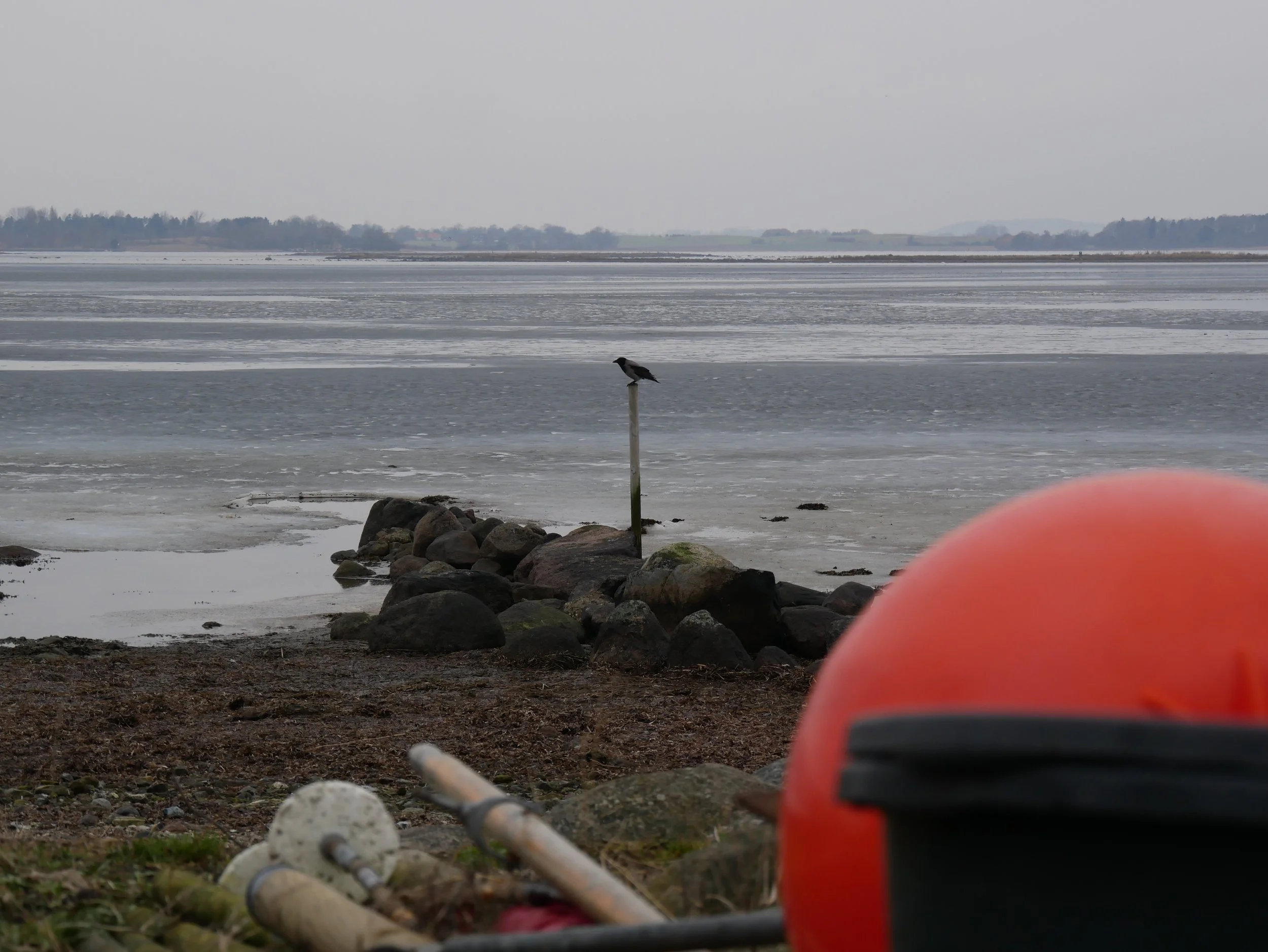 pillar on the beach - 2025 - Digital photograph