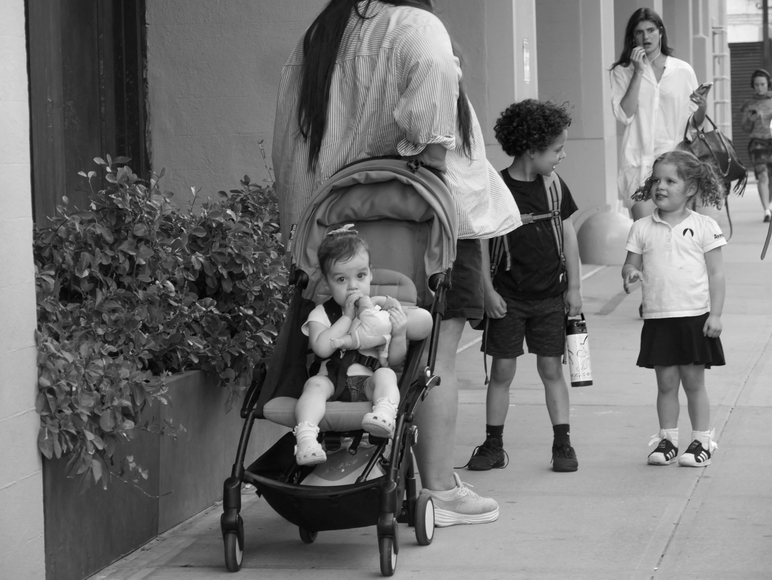 attention - 2025 - Digital photograph