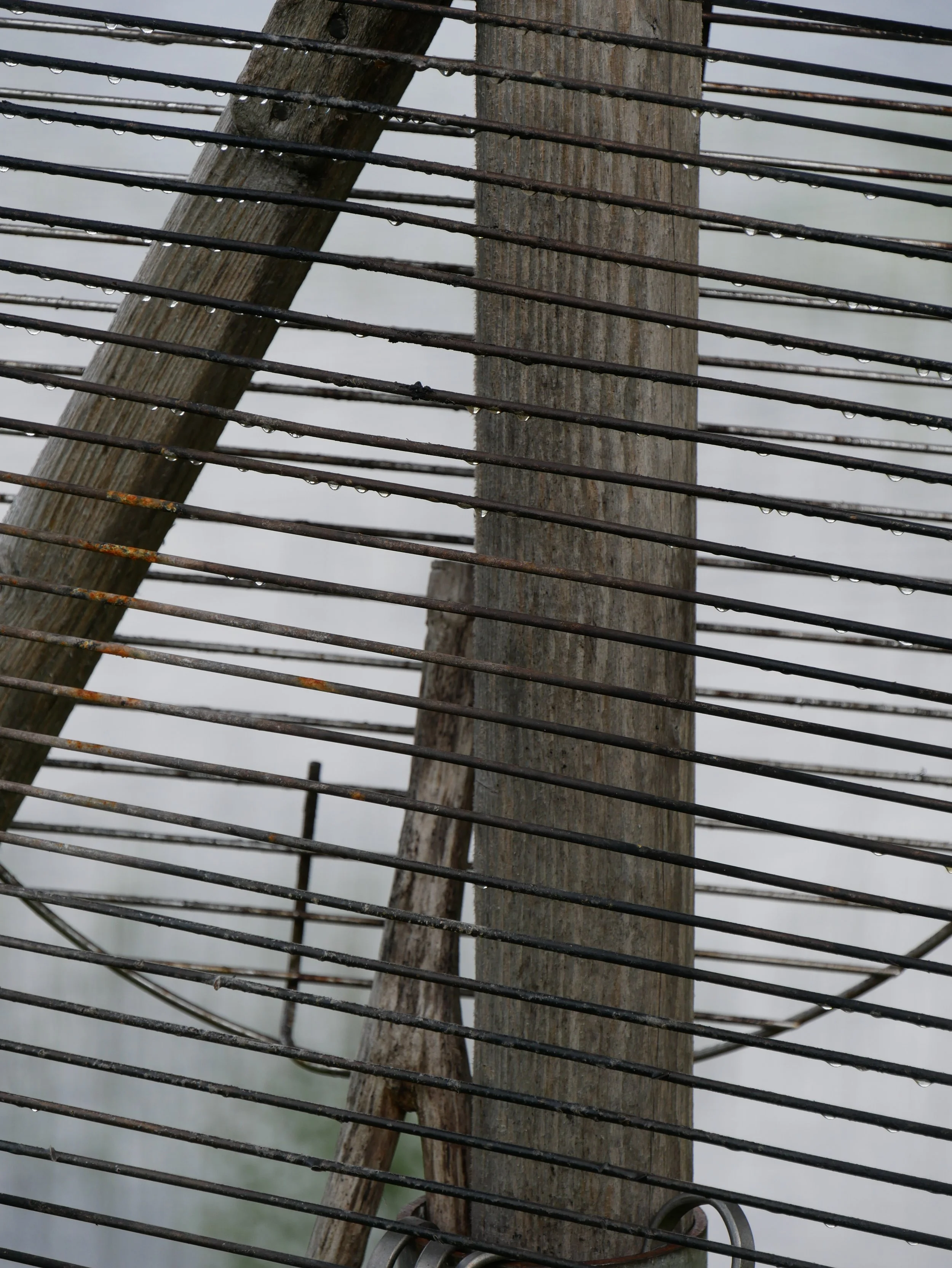 hanging barbecue - 2026 - Digital photograph
