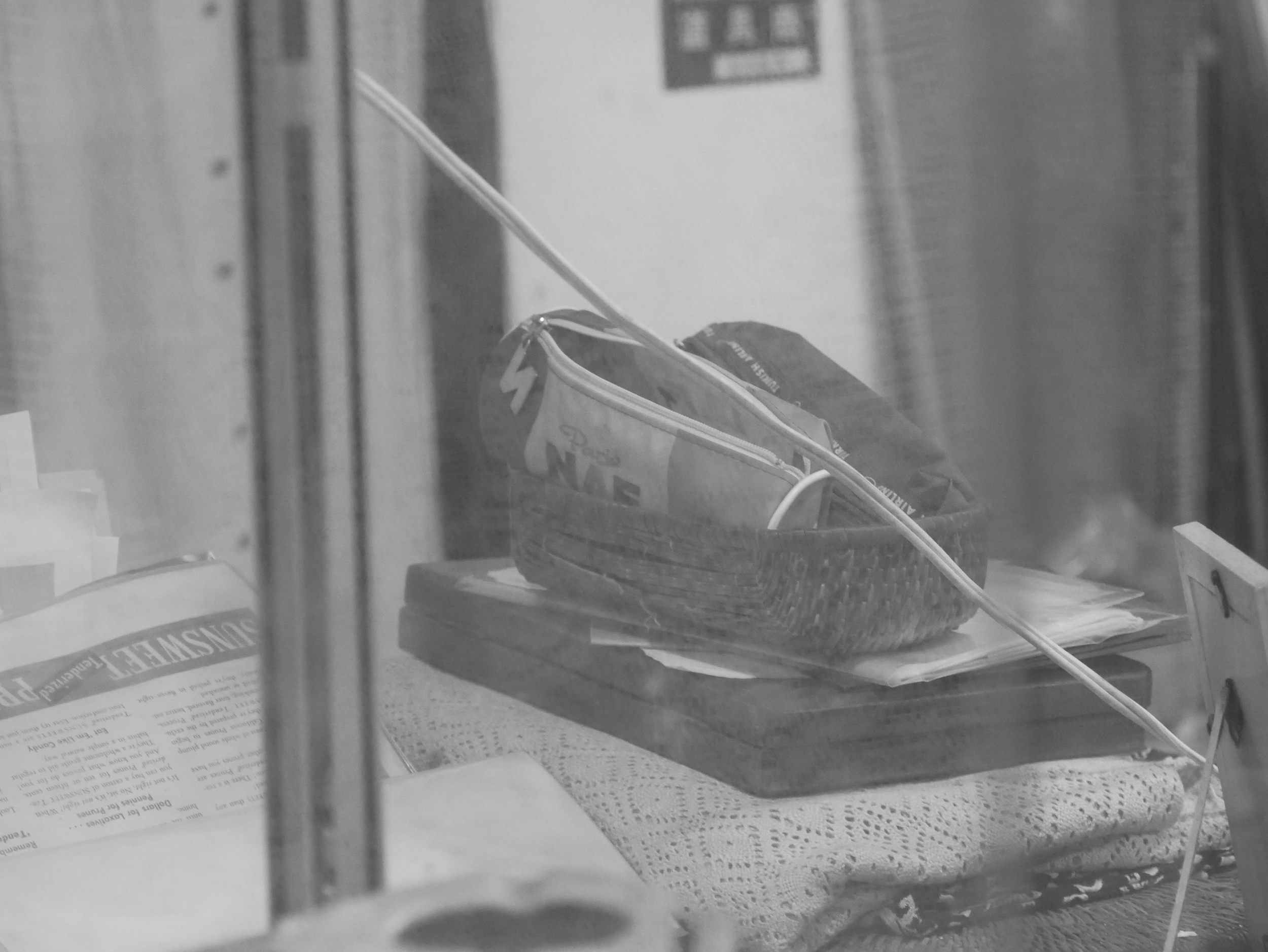 single case - 2026 - Digital photograph