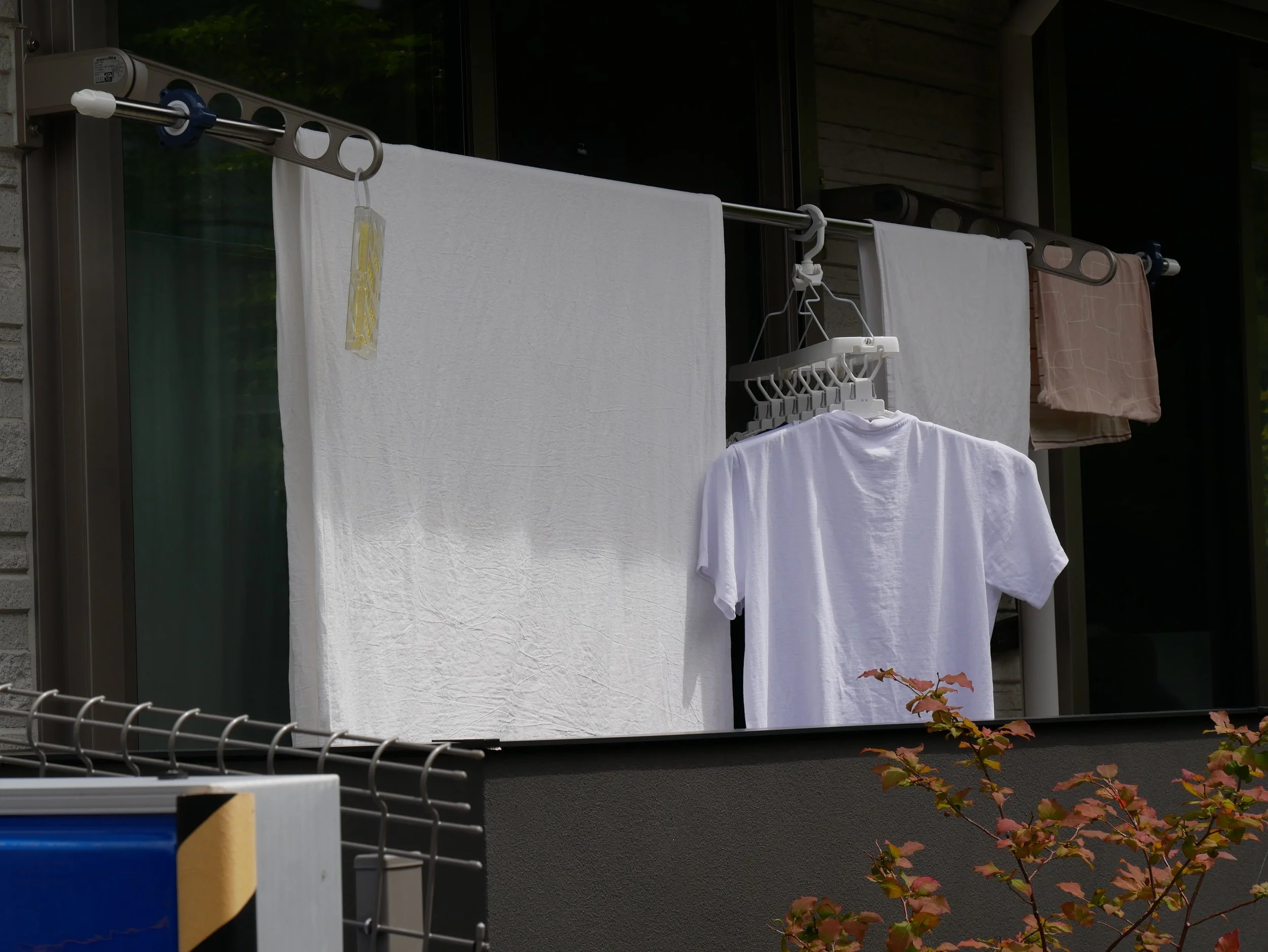 Tokyo garden - 2026 - Digital photograph