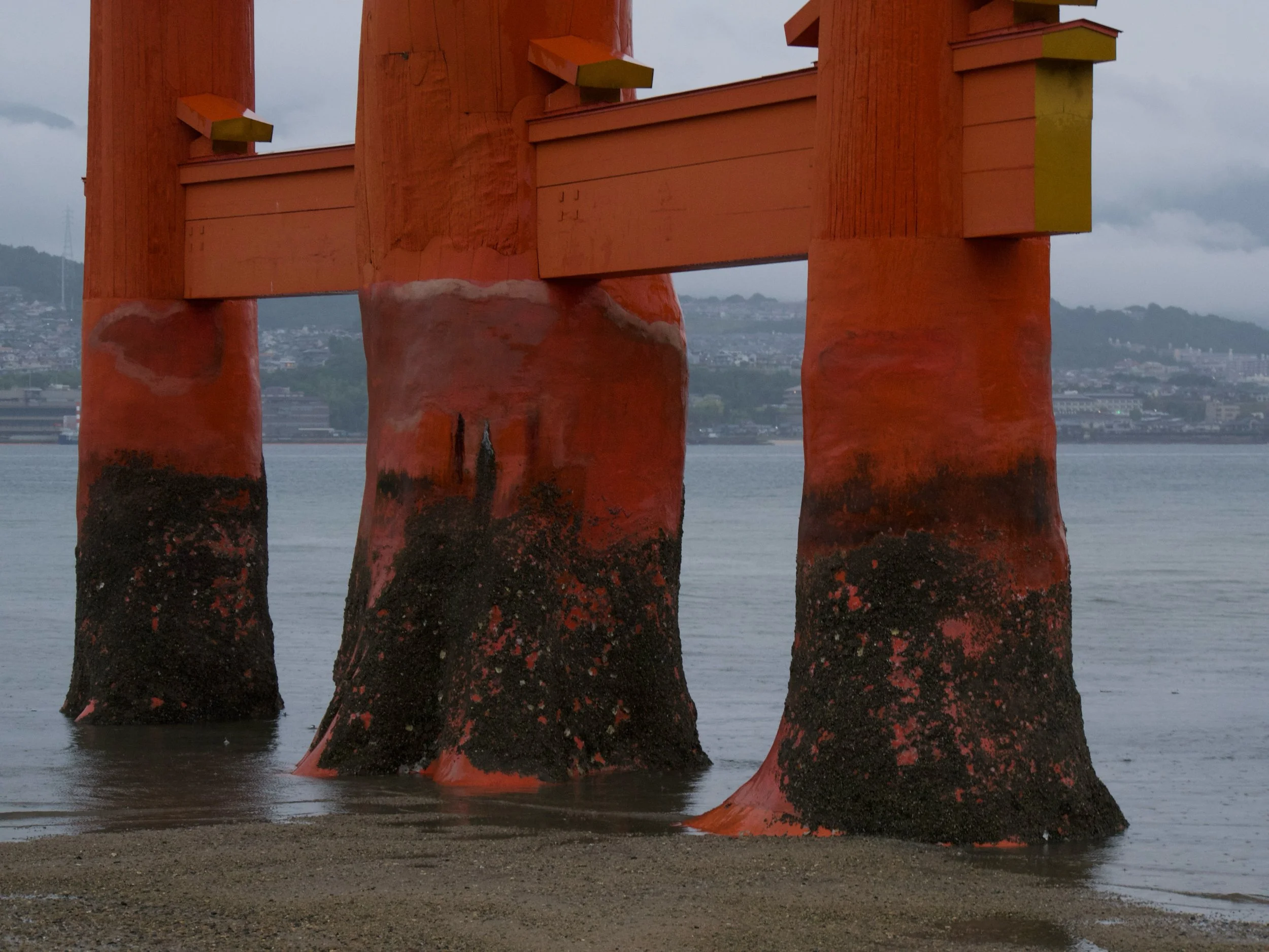 low tide in Myajima - 2026 - Digital photograph