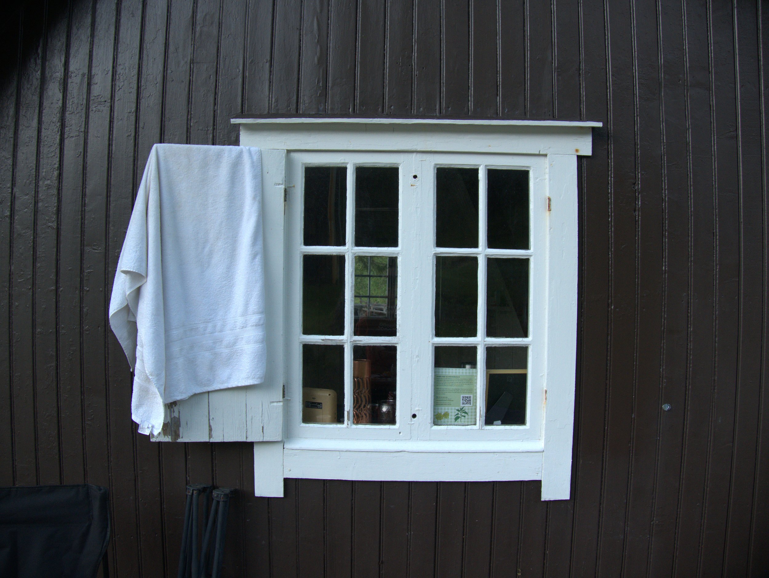 white widow (towel drying on a window) - 2025 - Digital photograph