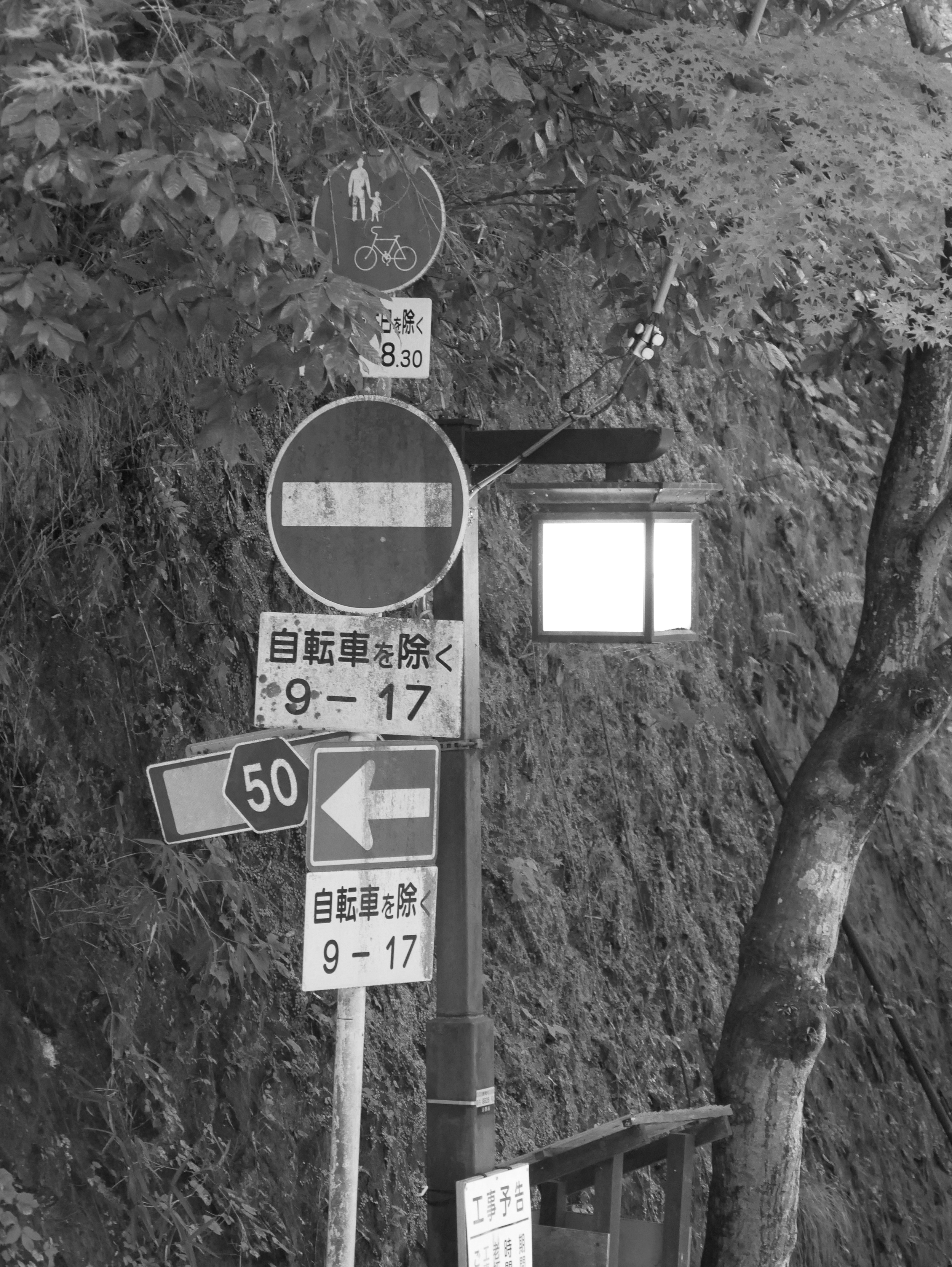 Kibune light - 2026 - Digital photograph