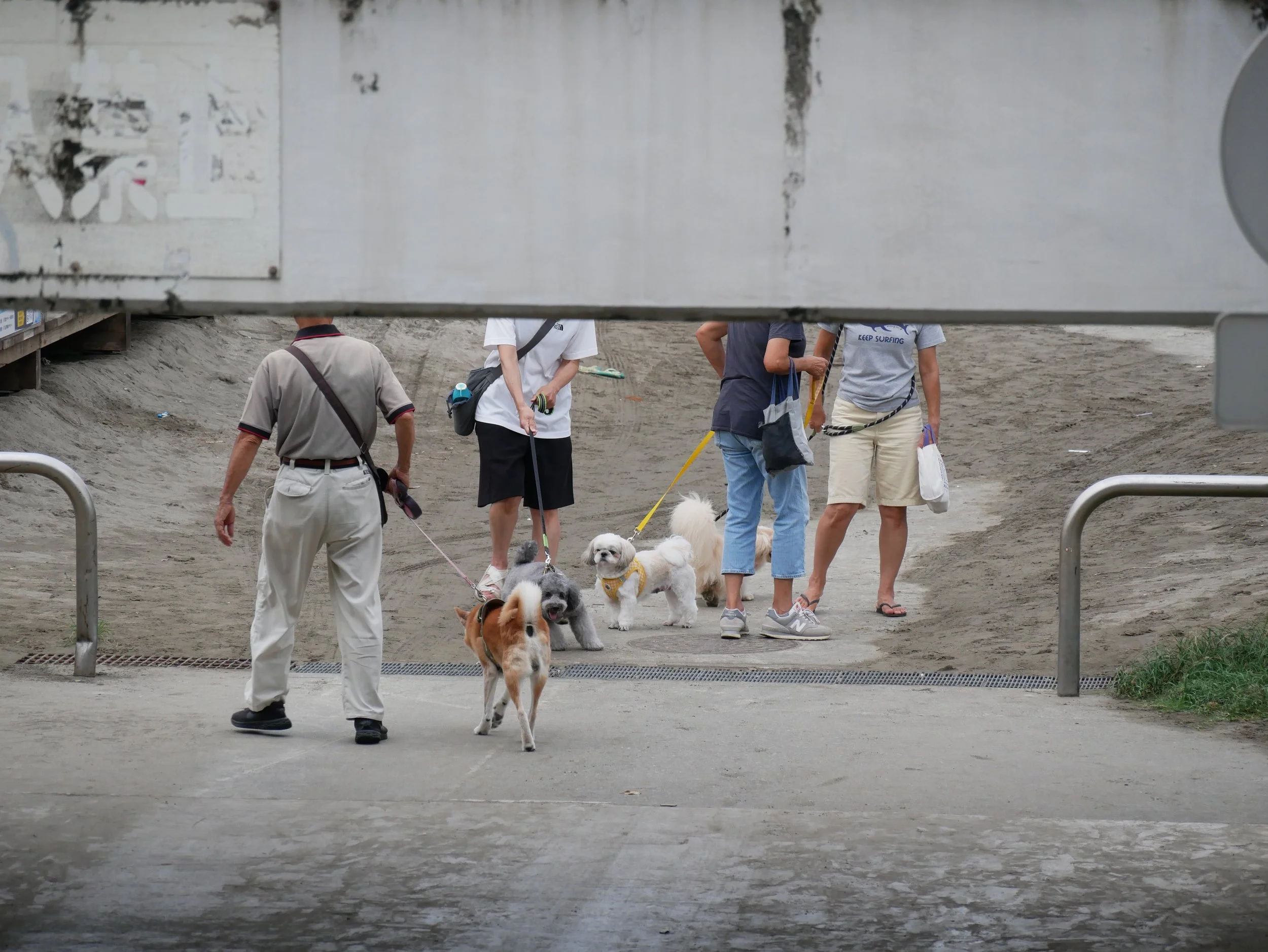 The beheaded walkers - 2026 - Digital photograph
