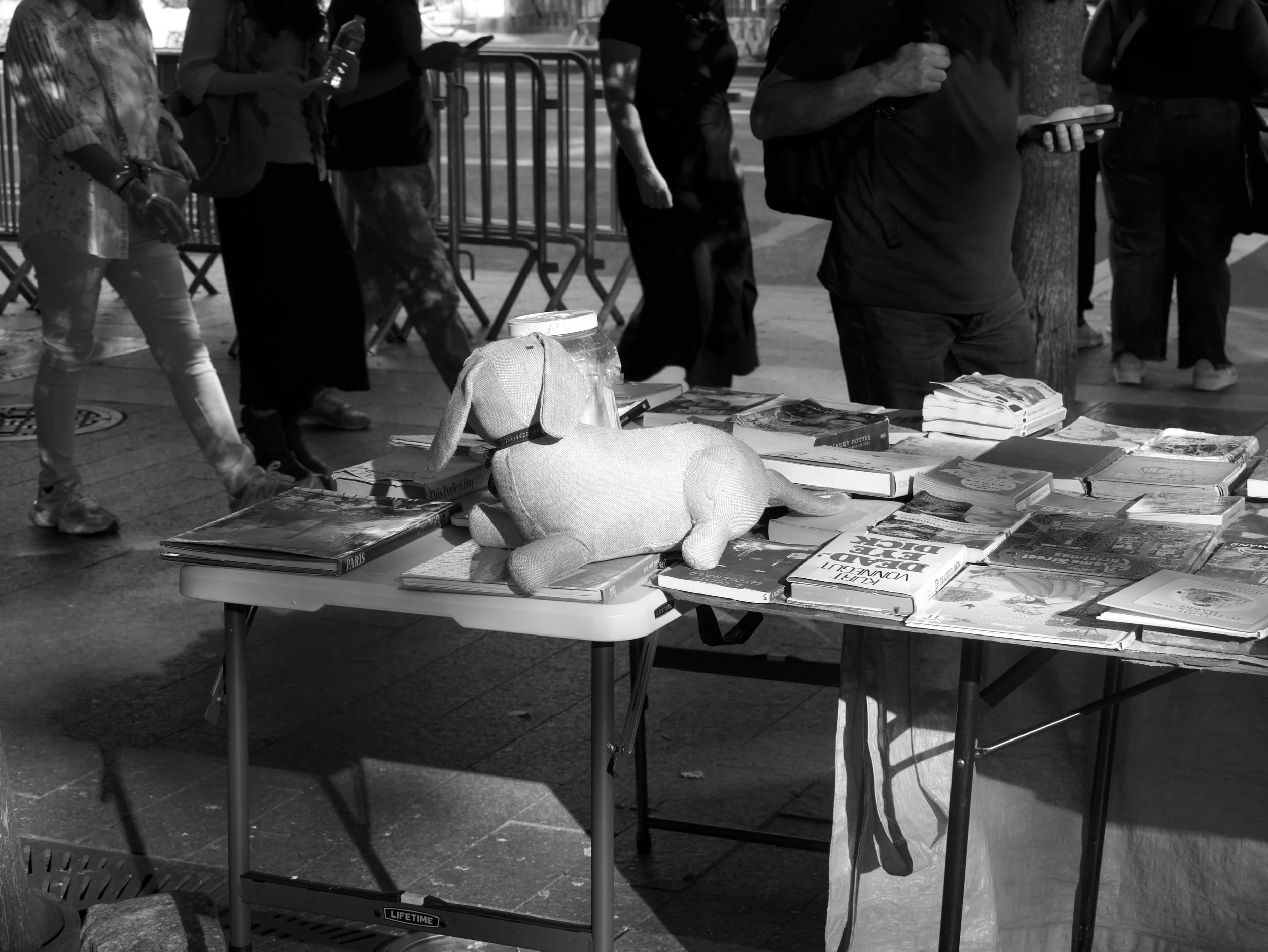 book display - 2025 - Digital photograph