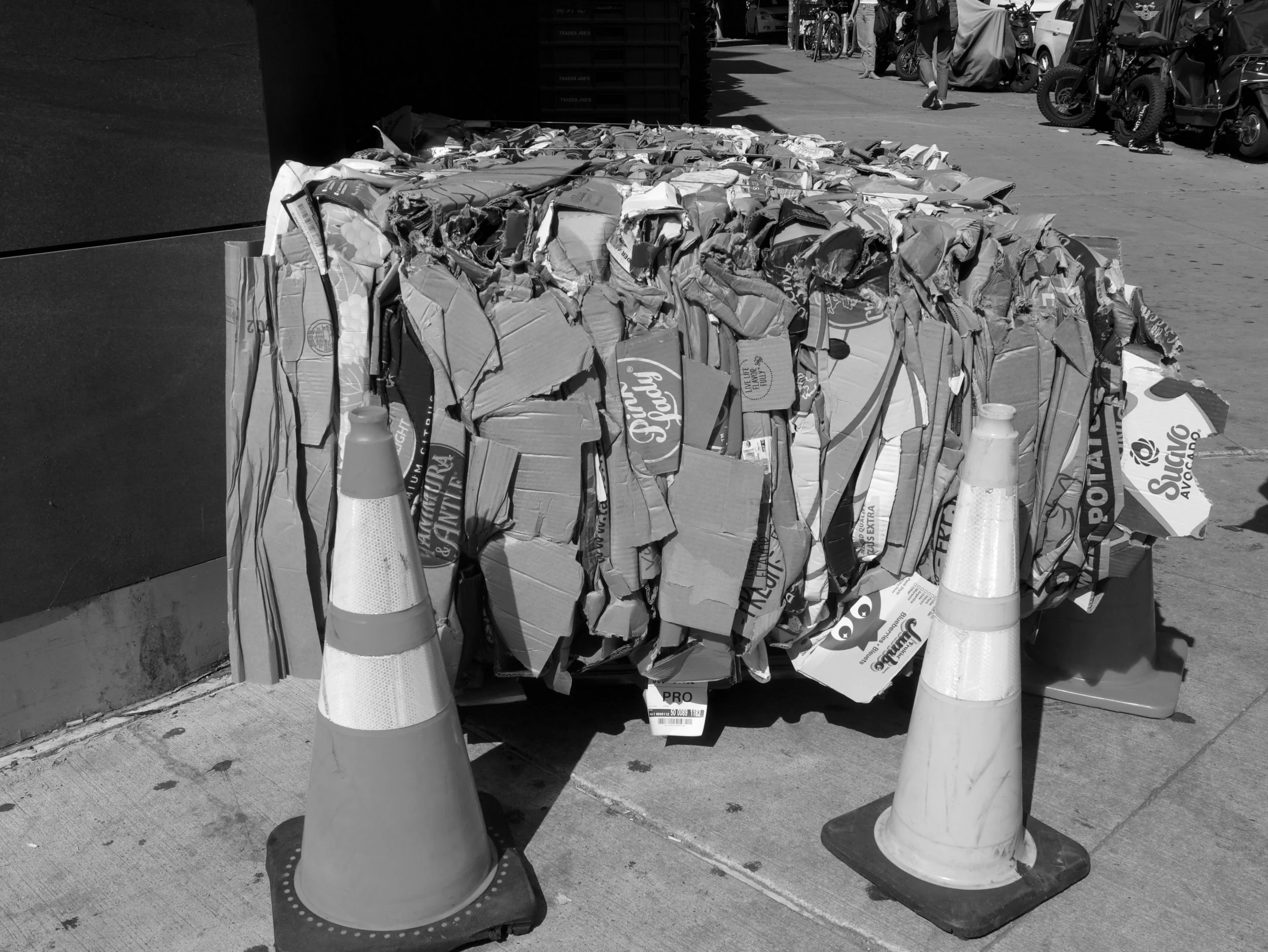 compressed - 2025 - Digital photograph