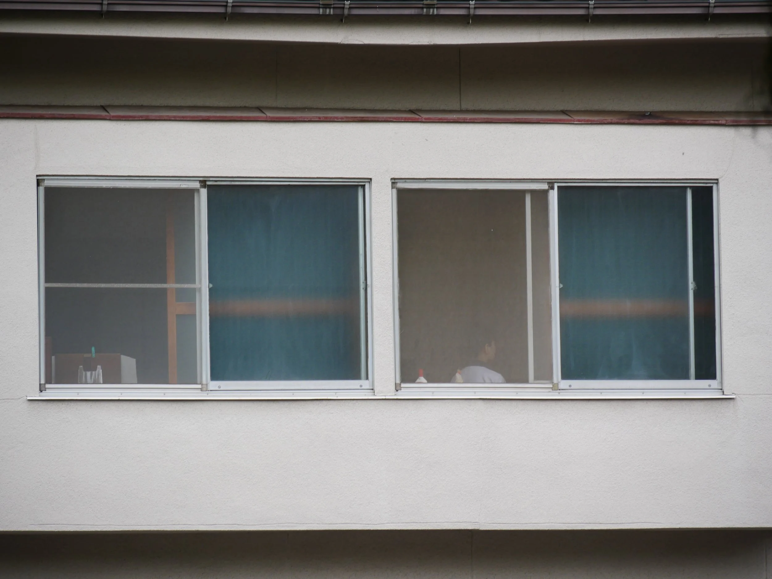 privacy window - 2026 - Digital photograph