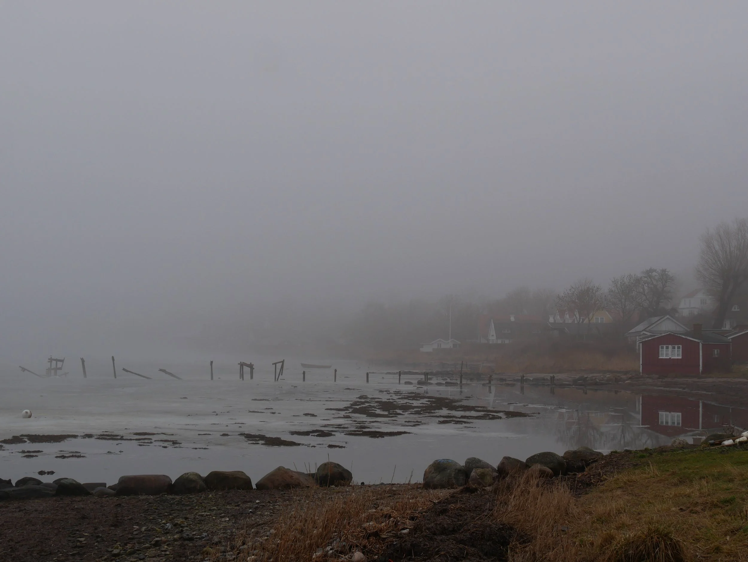 morning fog - 2025 - Digital photograph