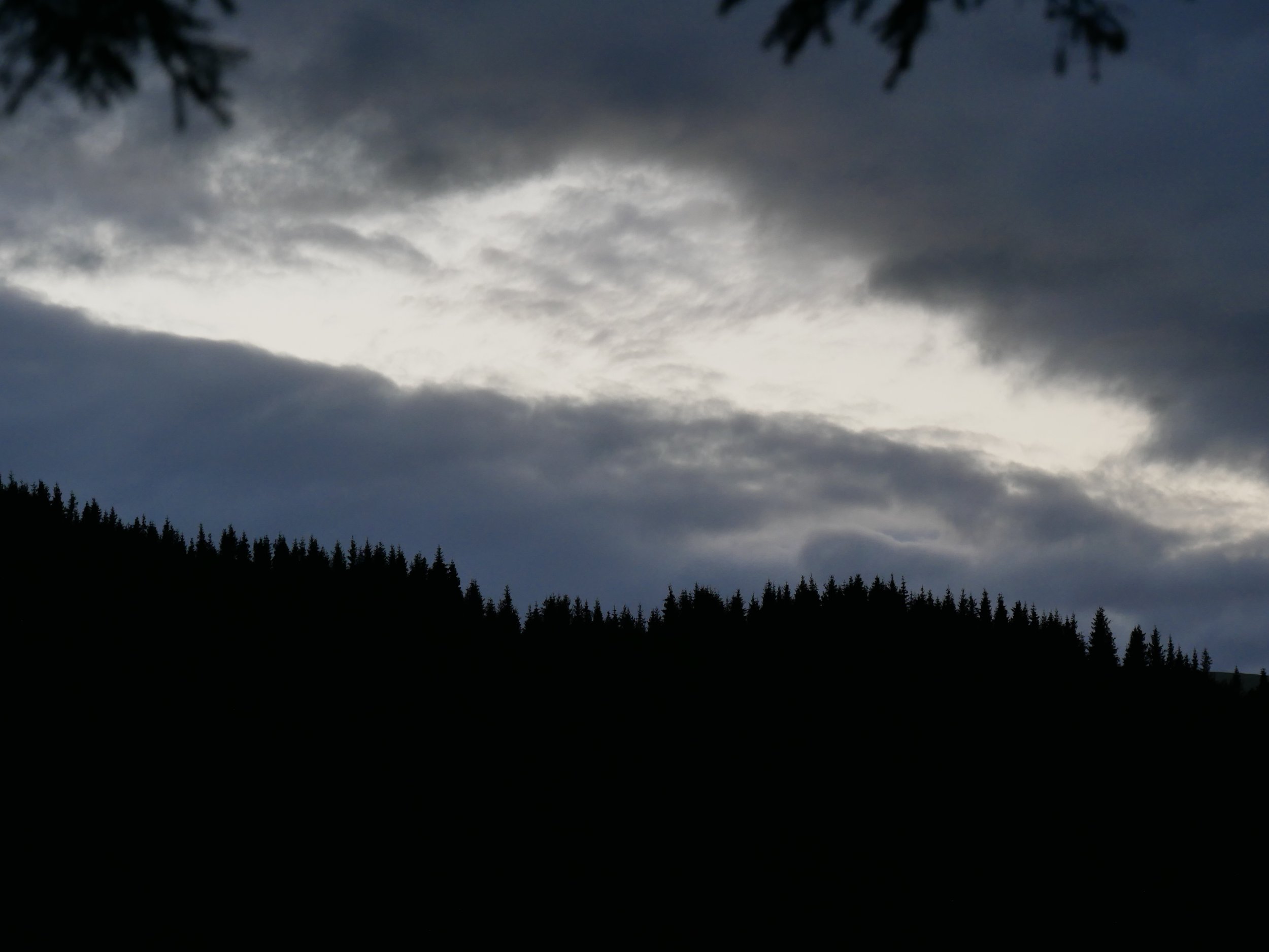 evening - 2026 - Digital photograph