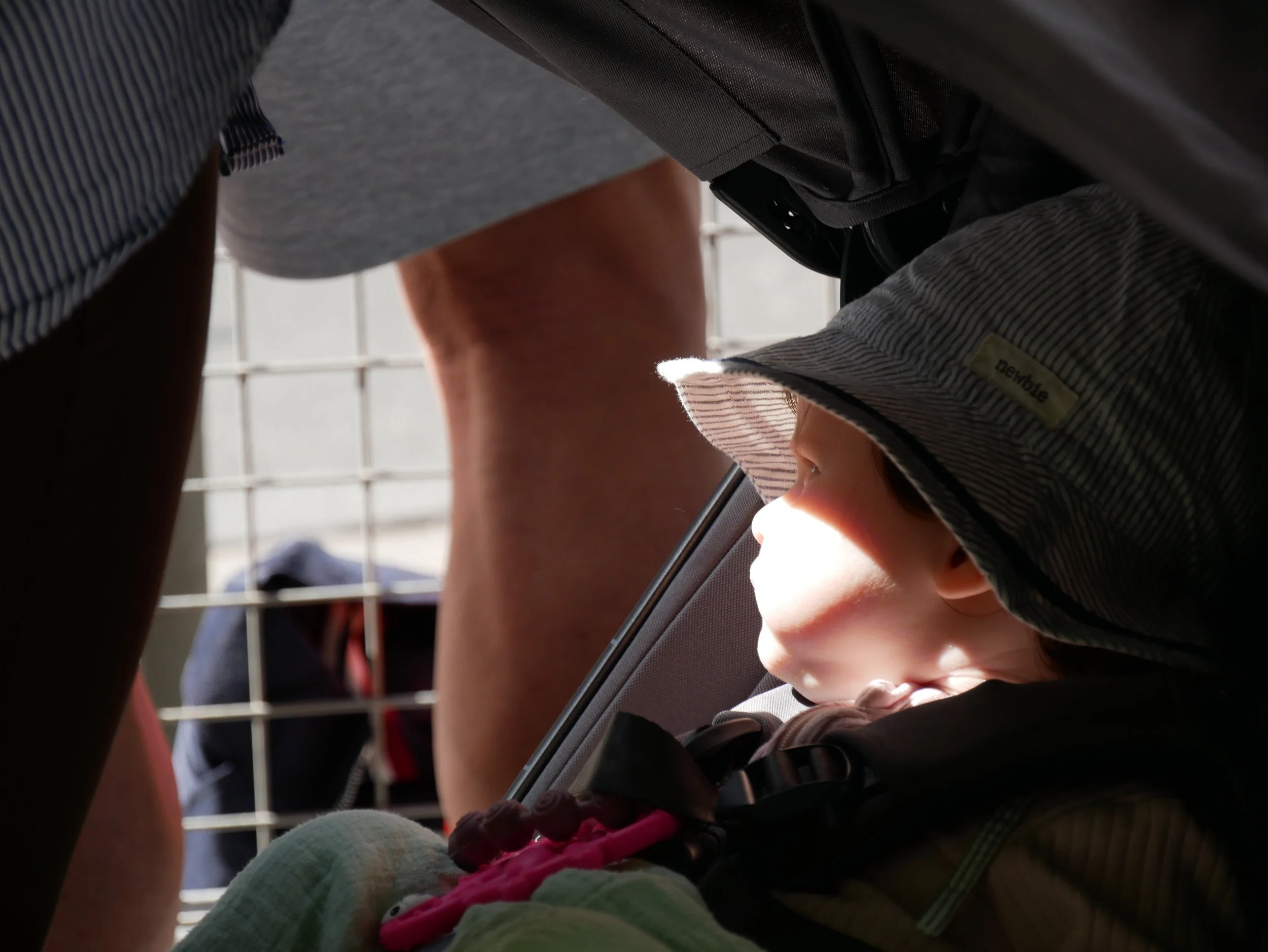 a spotter - 2026 - Digital photograph
