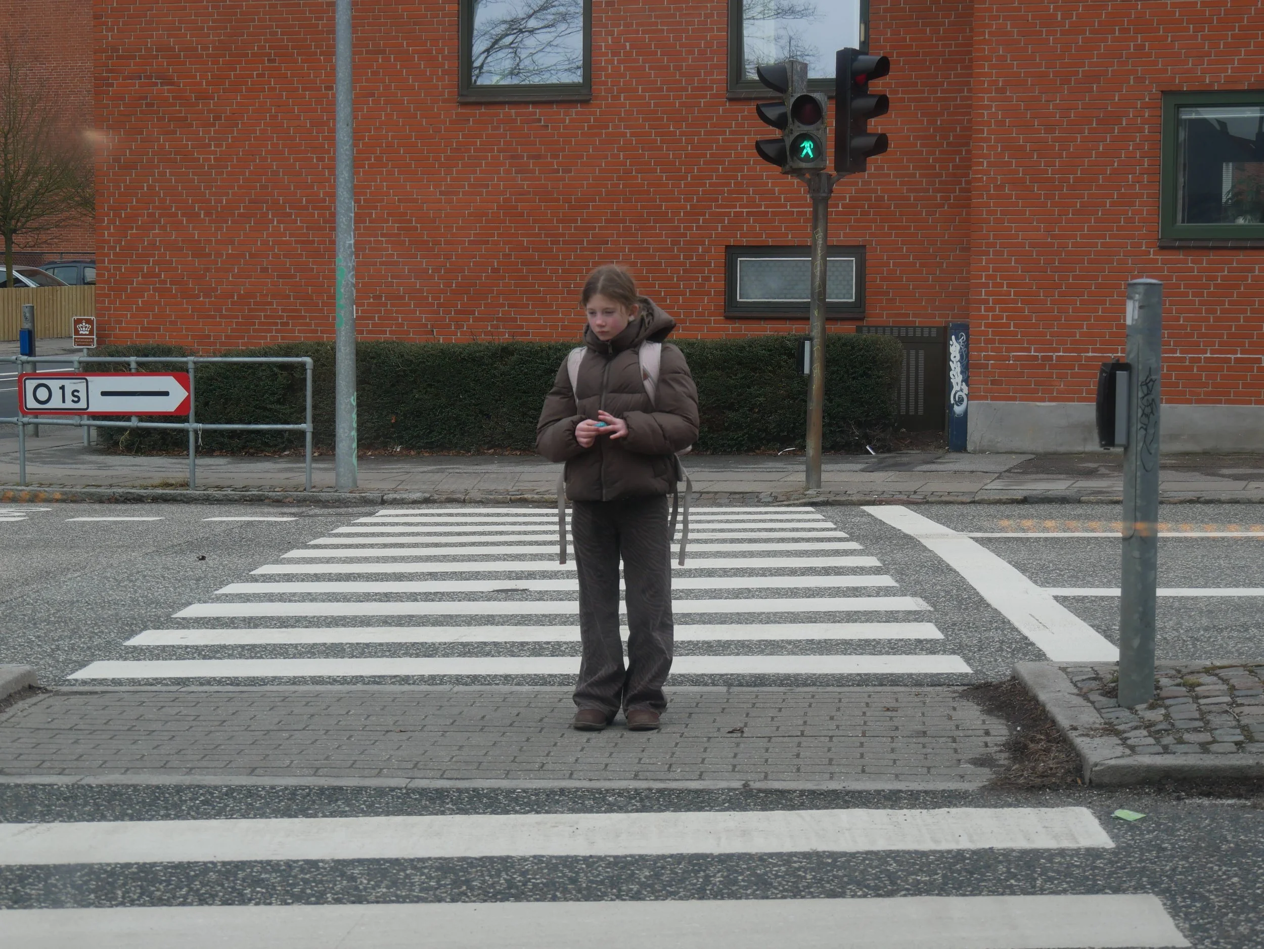 Danish girl - 2025 - Digital photograph