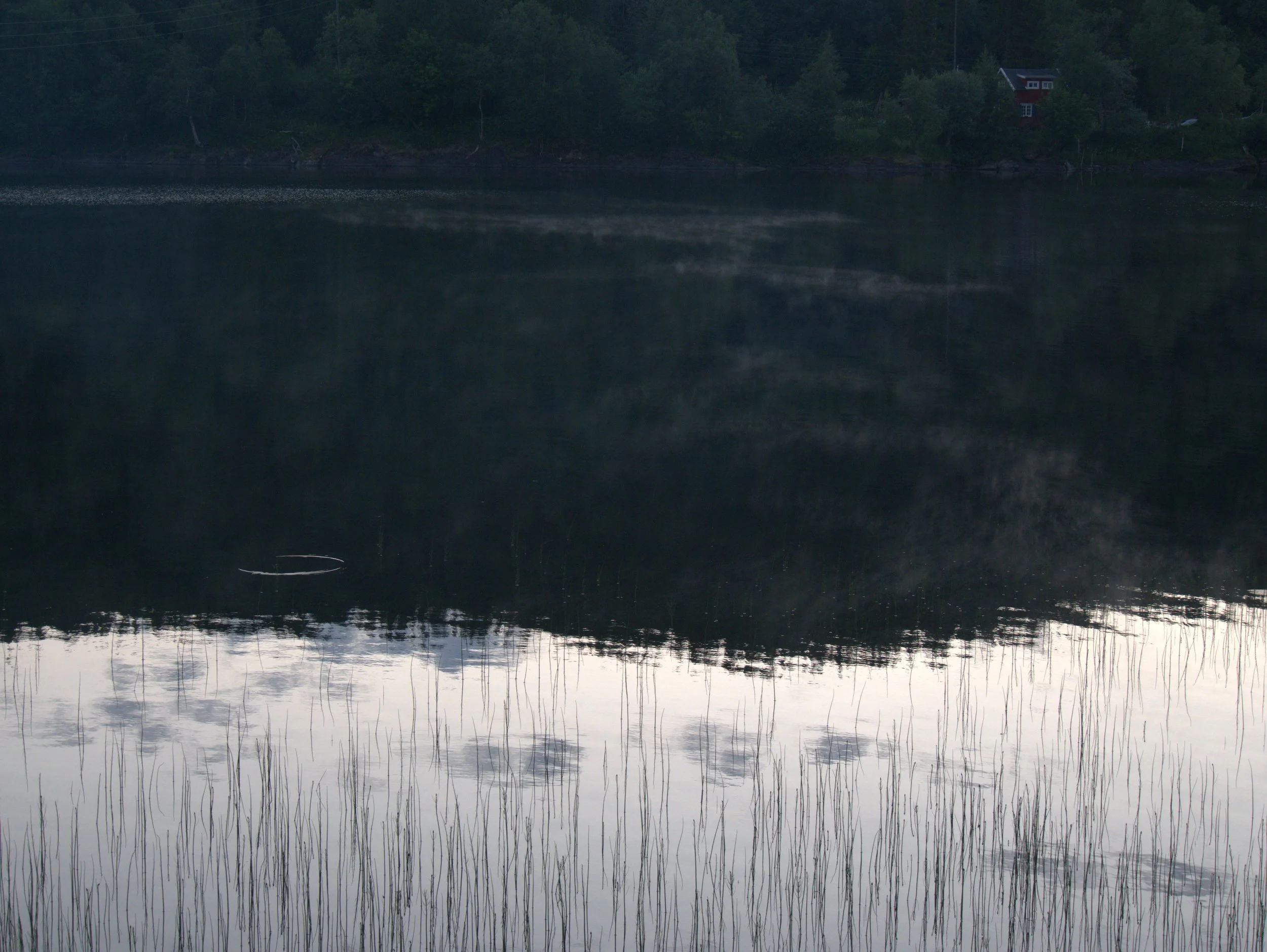 ripple - 2025 - Digital photograph