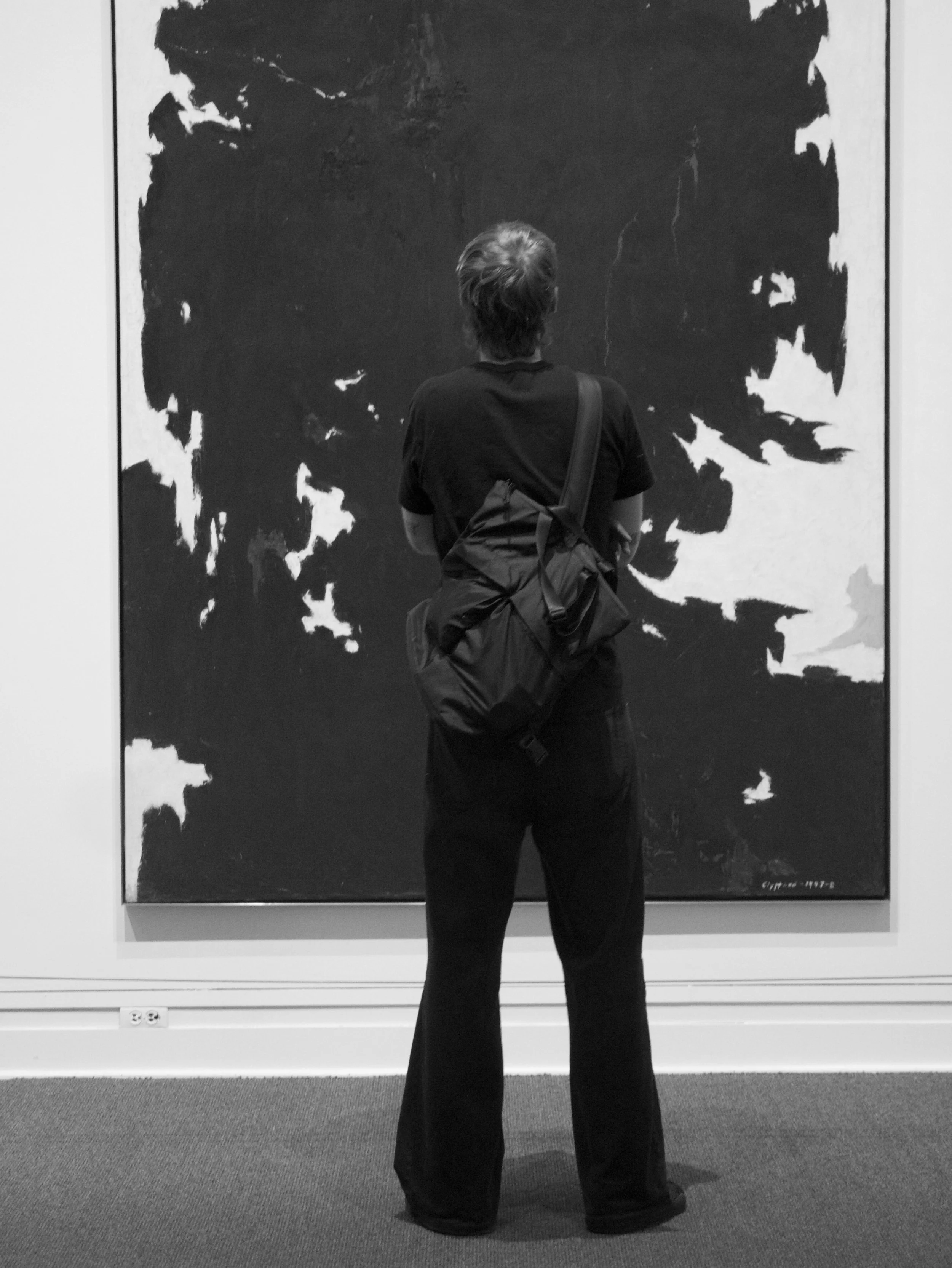 black back - 2025 - Digital photograph