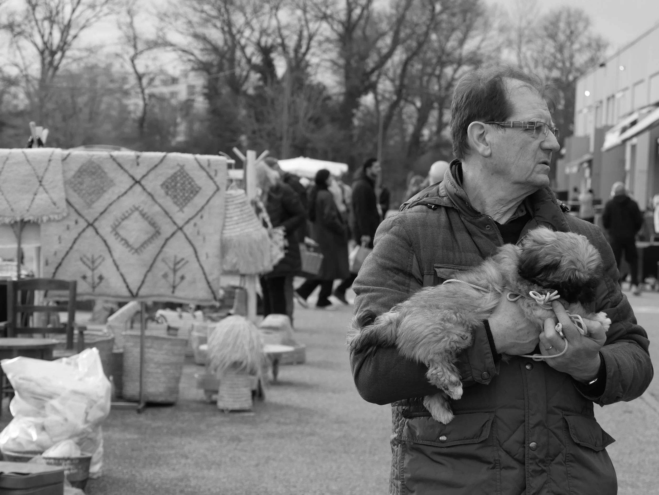 hair care - 2025 - Digital photograph