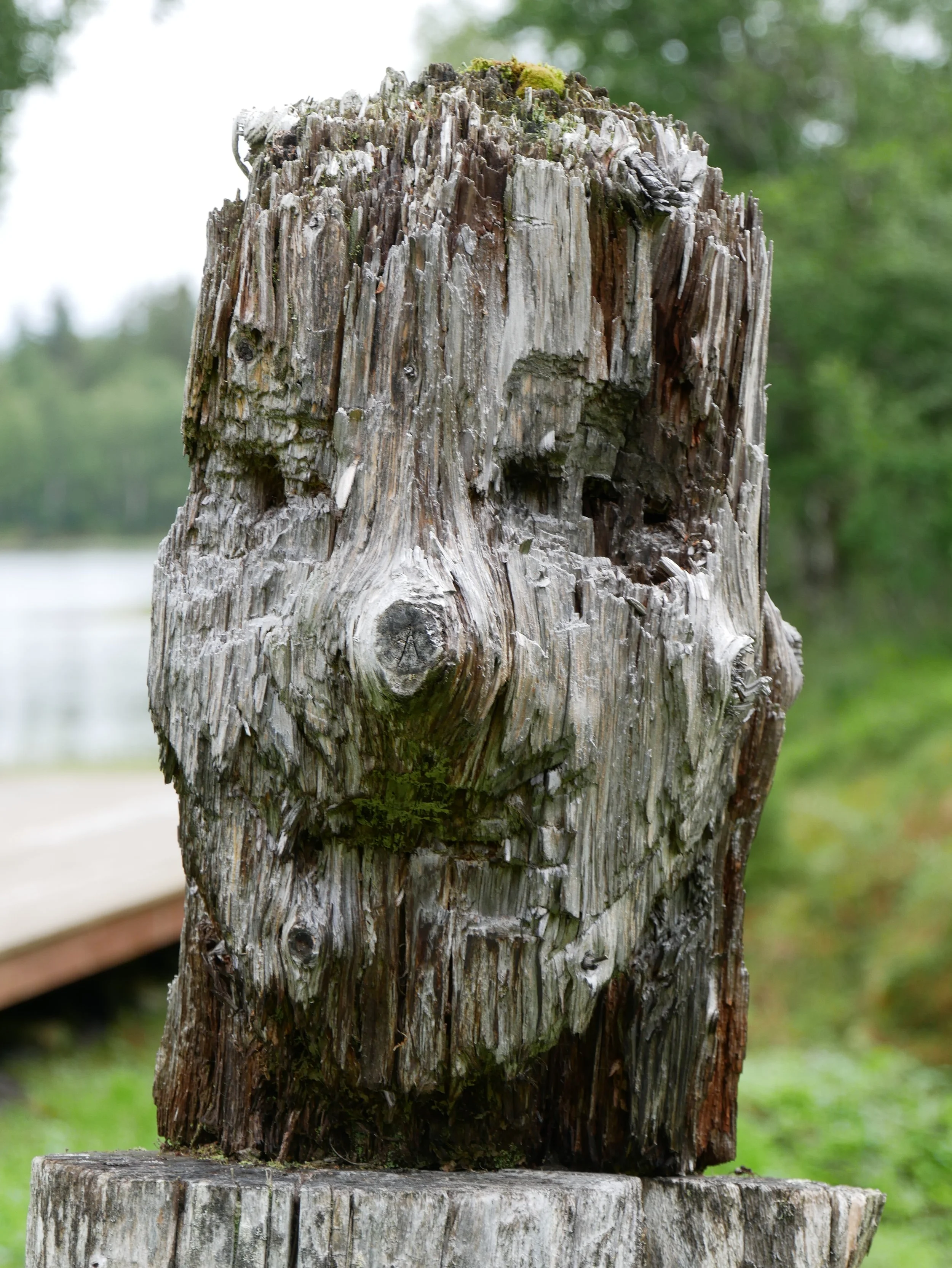 sculpted head by hytta - 2026 - Digital photograph