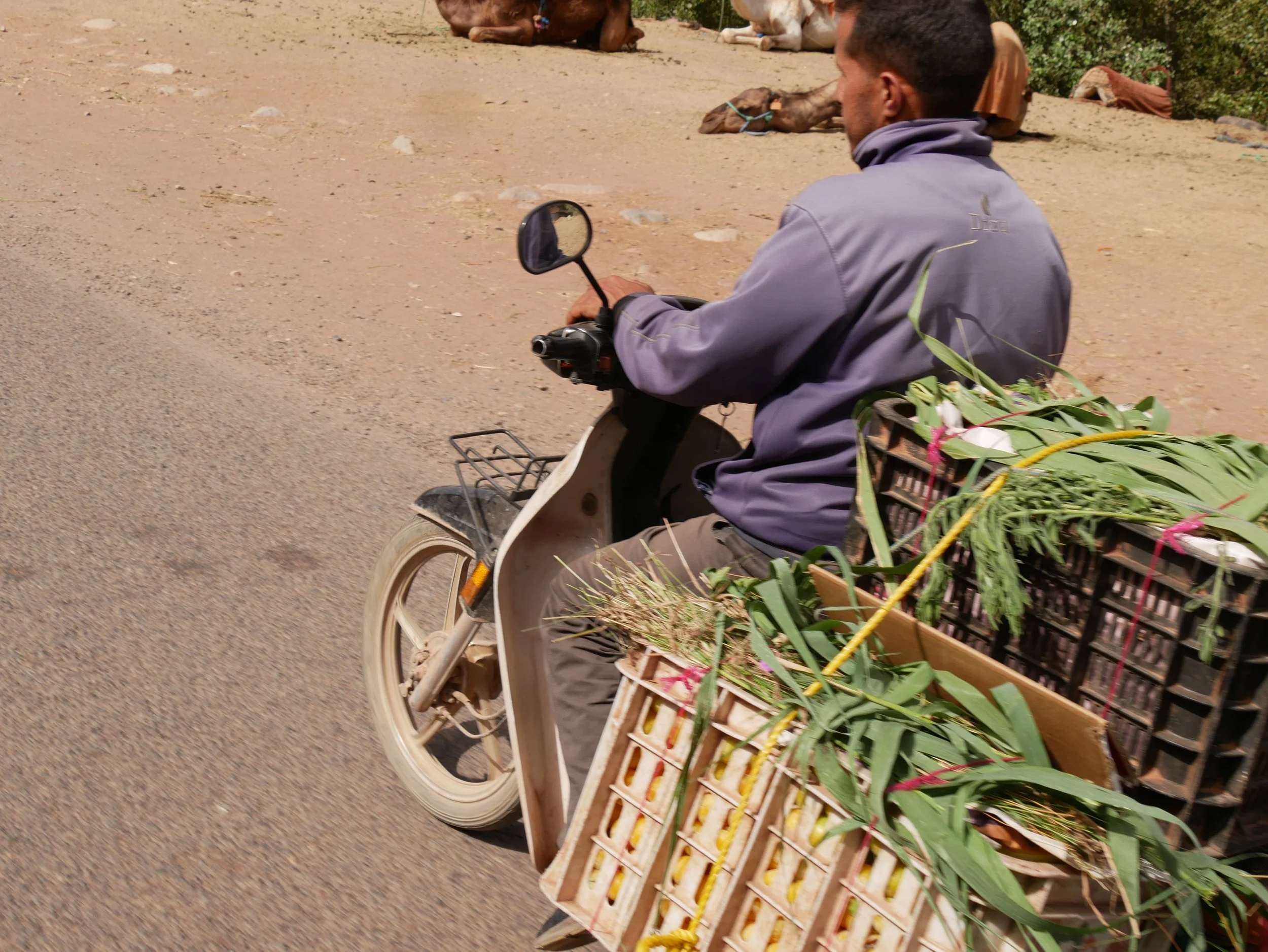 transportation - 2019 - Digital photograph