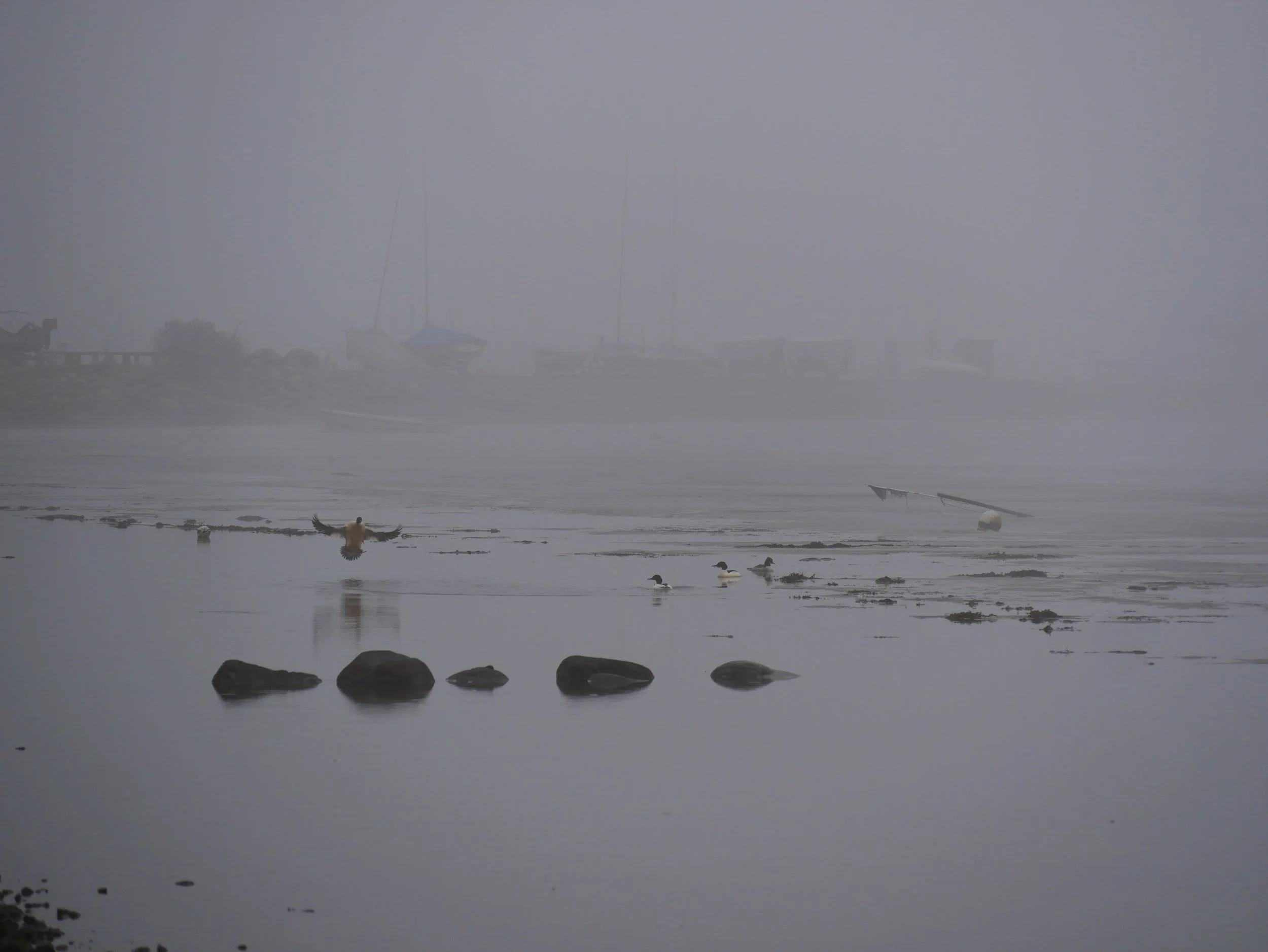 landing - 2025 - Digital photograph