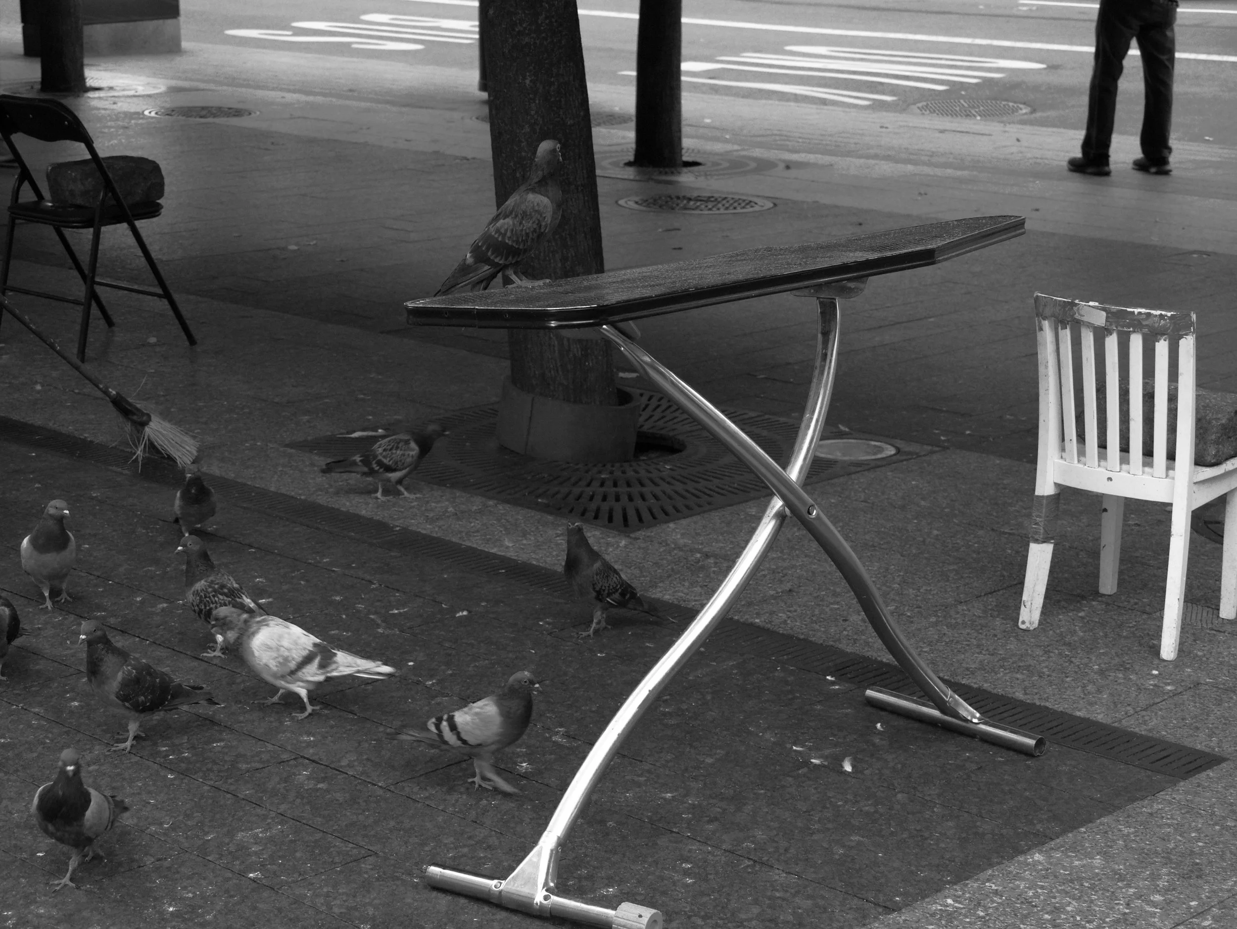 board - 2025 - Digital photograph