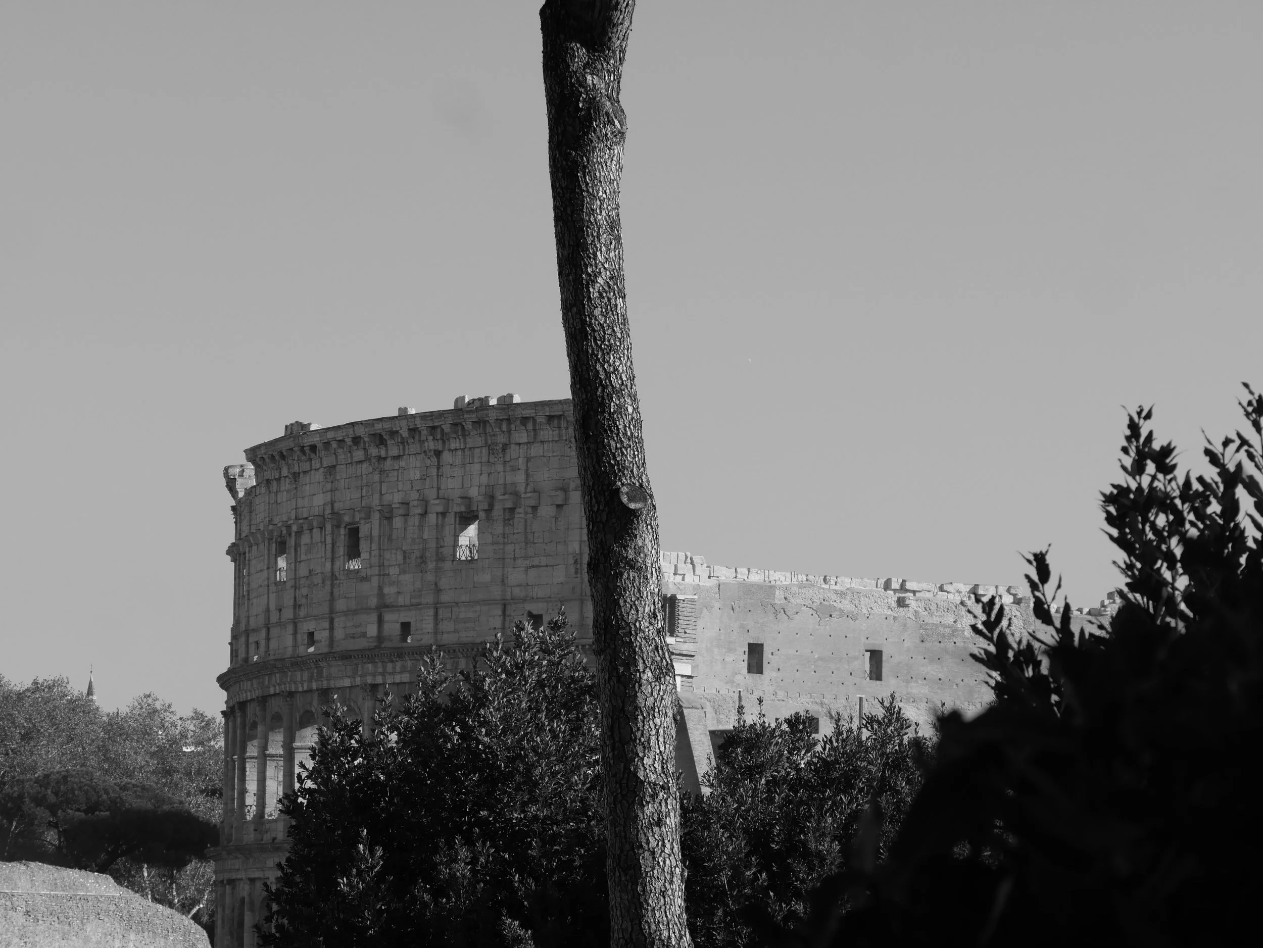 Left and right - 2025 - Digital photograph