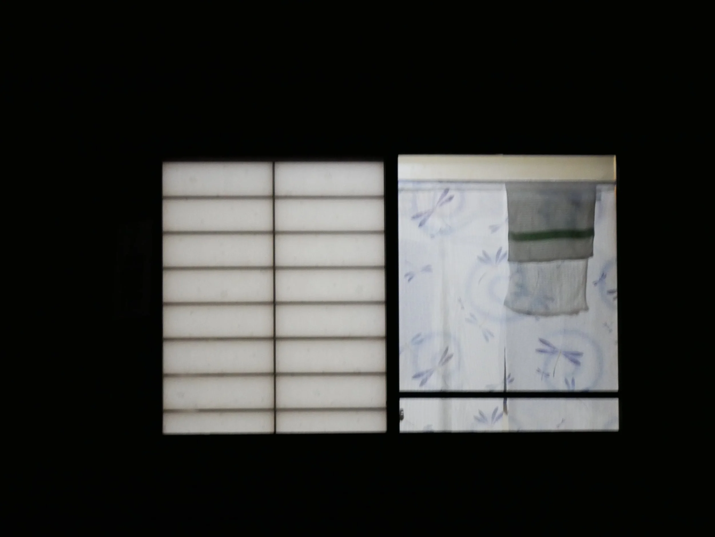 rice paper, cloth - 2026 - Digital photograph