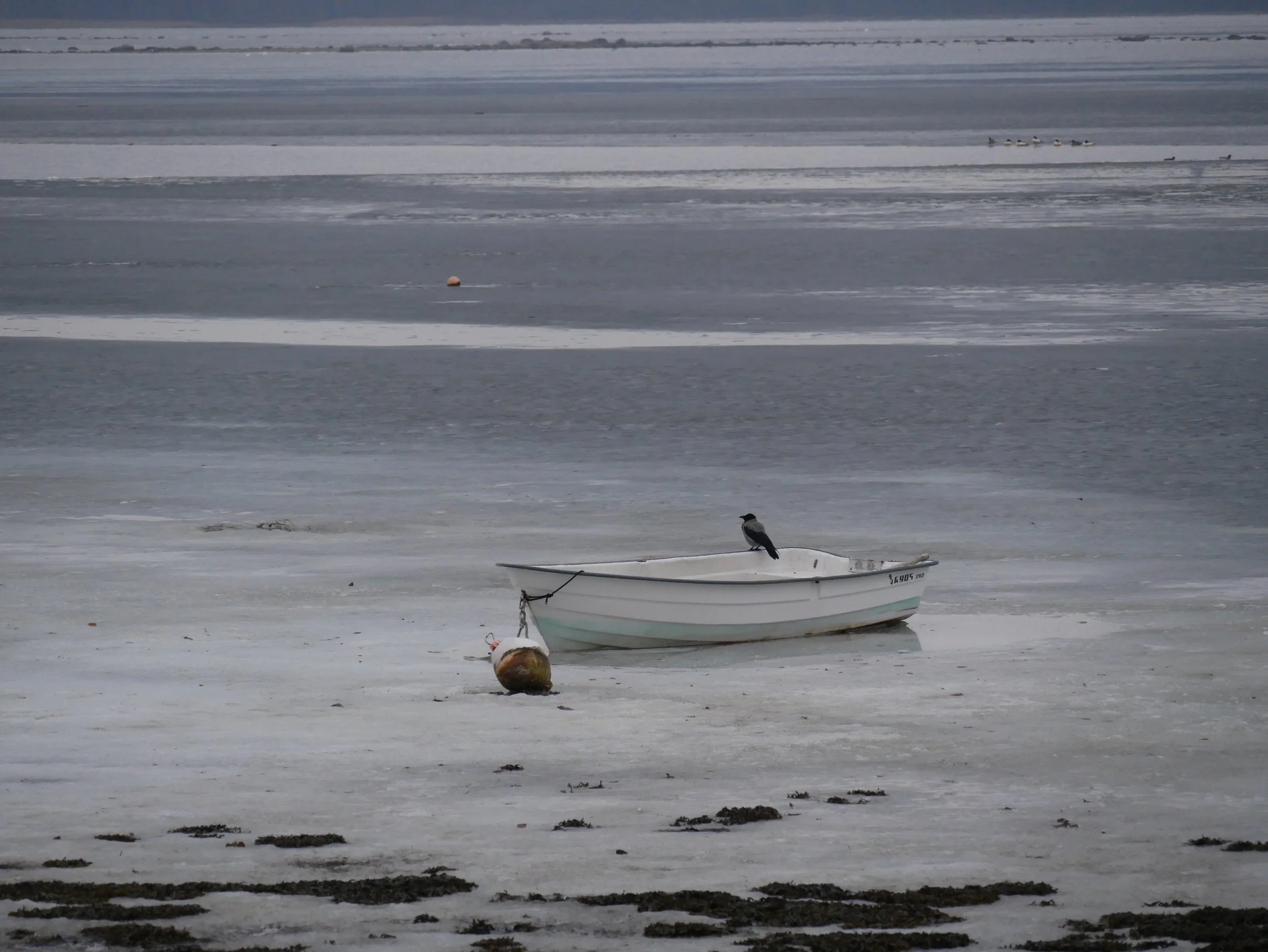 wearing two colours - 2025 - Digital photograph