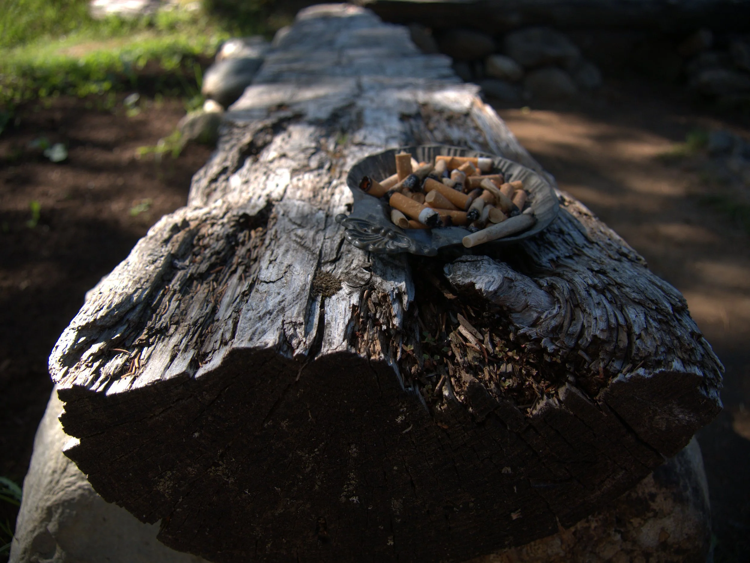 compendium - 2025 - Digital photograph