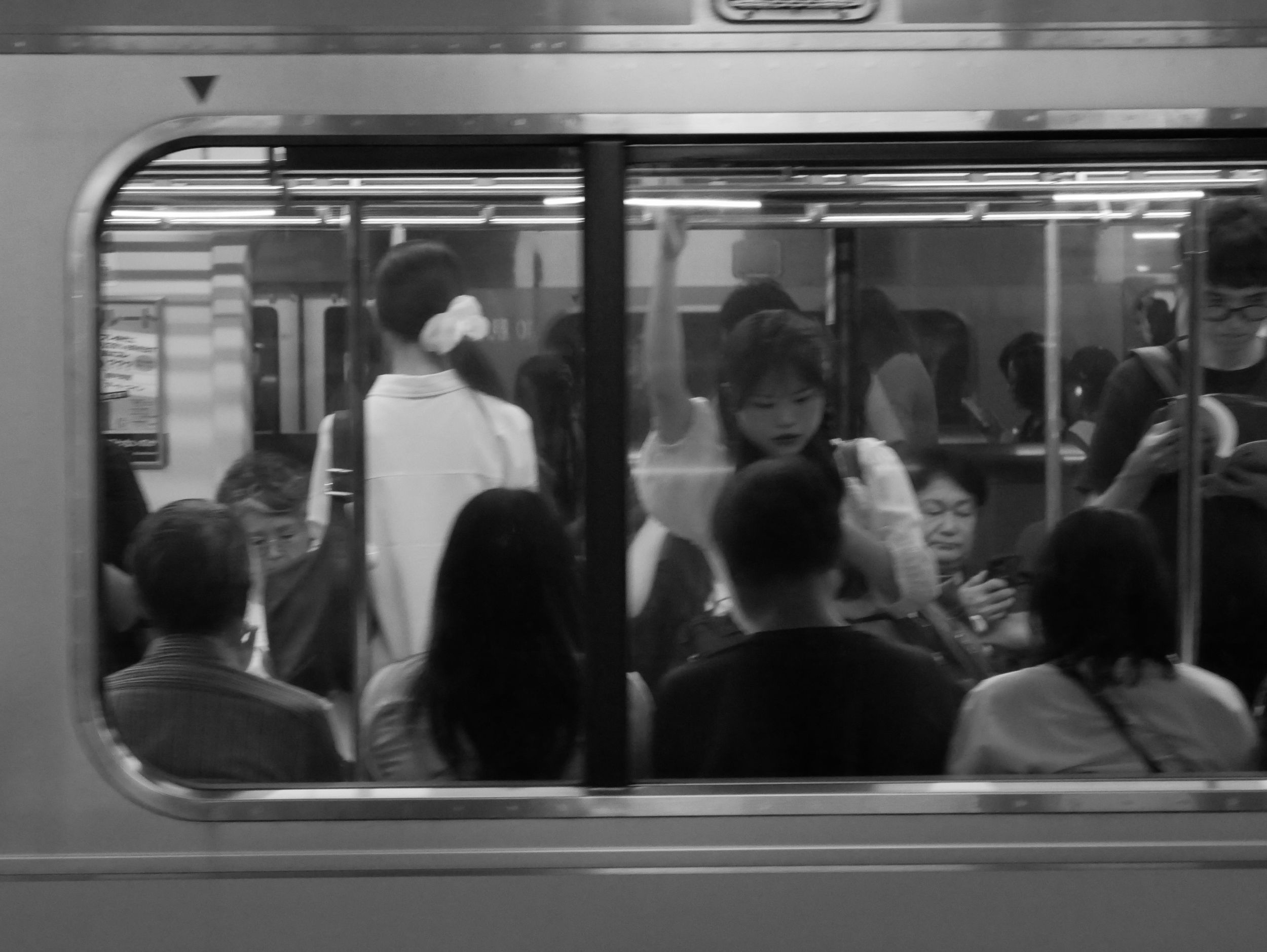 coach - 2026 - Digital photograph