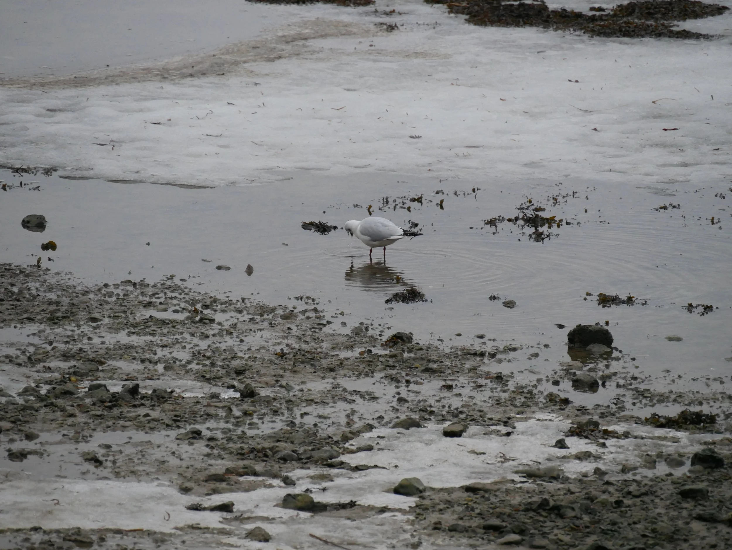 sweat - 2025 - Digital photograph