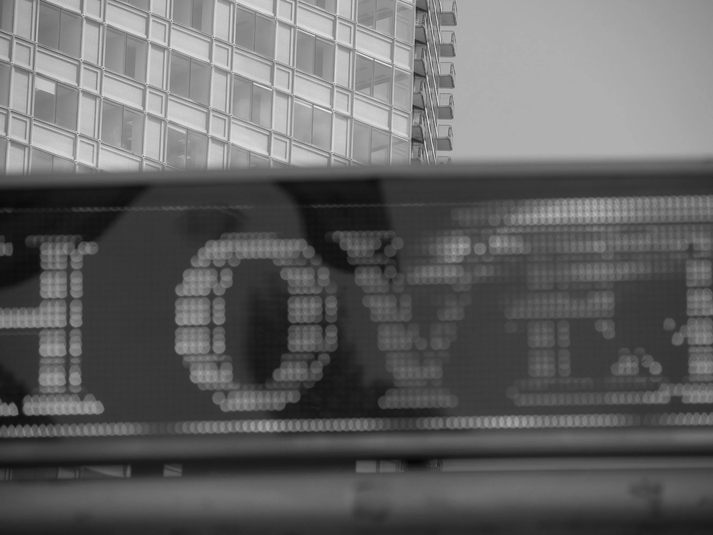 Falafel Love - 2025 - Digital photograph