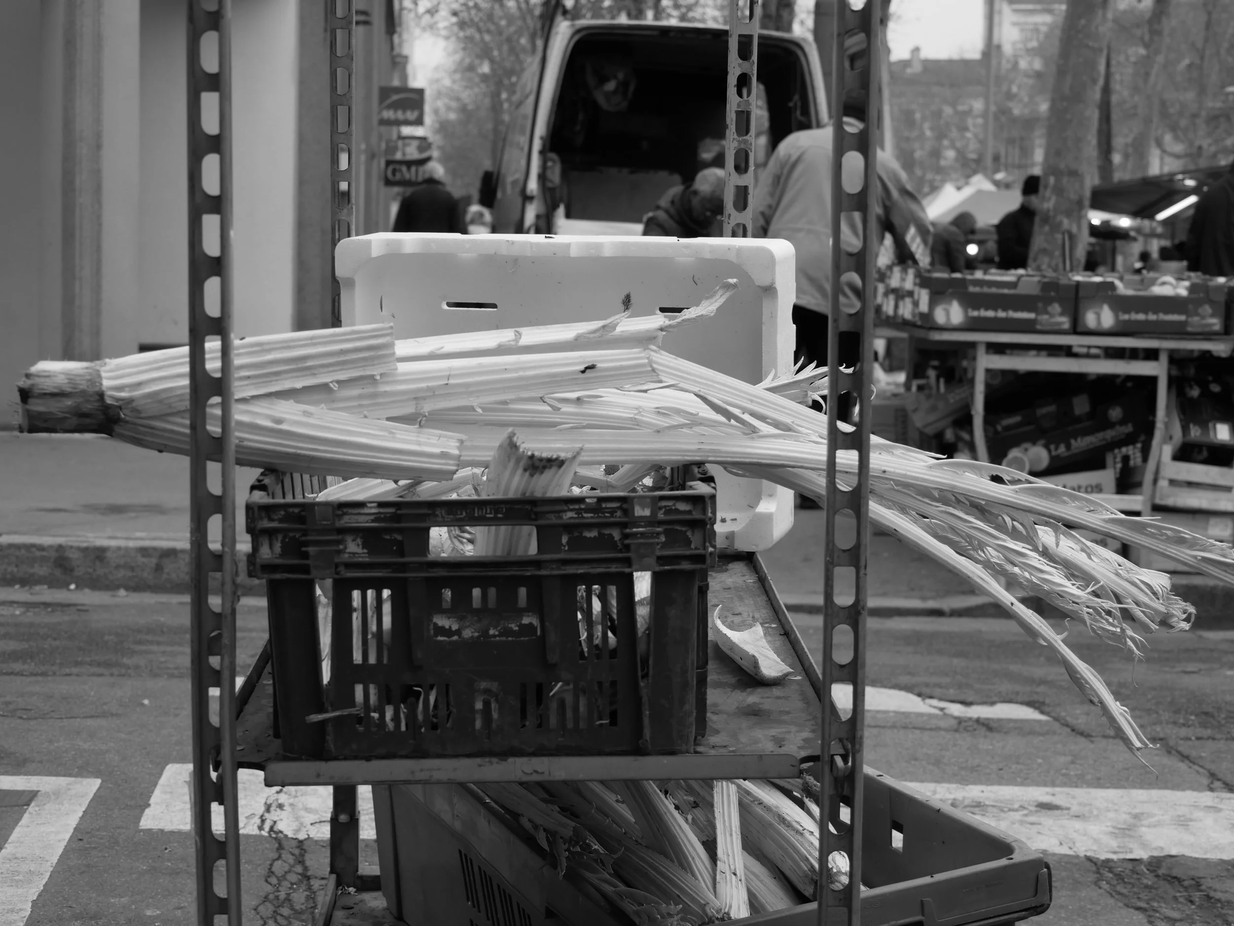 botte de cardons - 2025 - Digital photograph