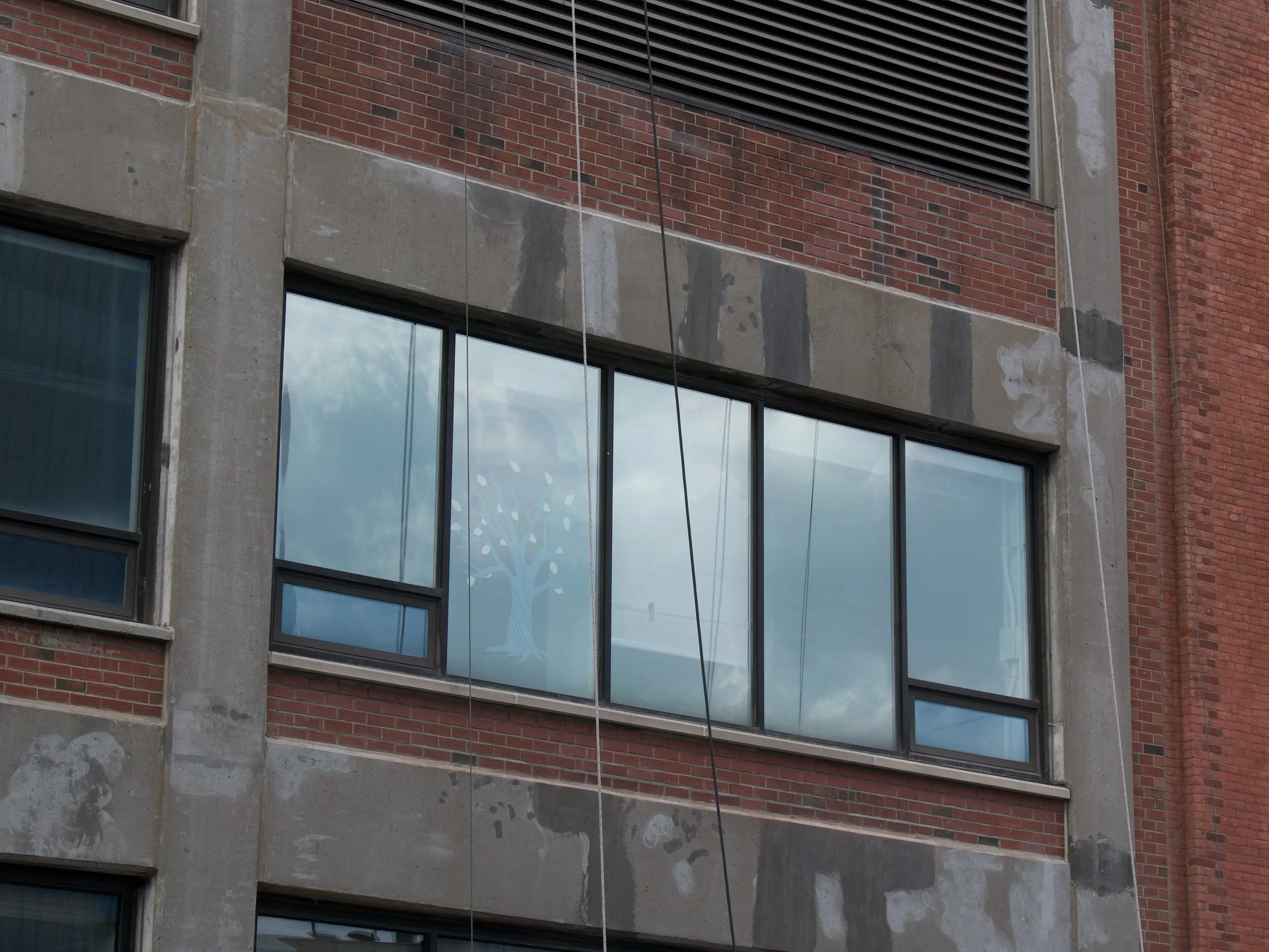 tree - 2025 - Digital photograph