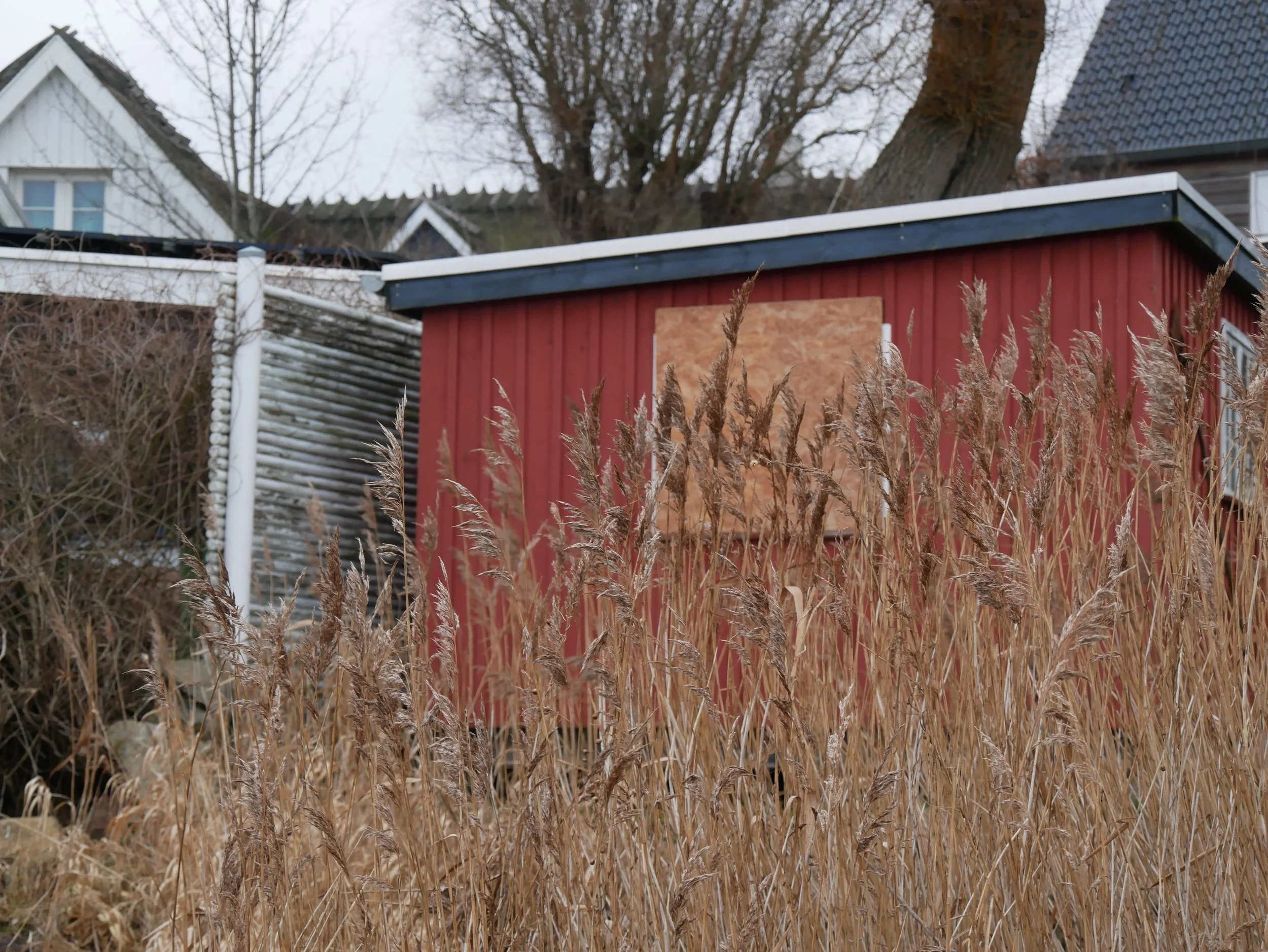 shack - 2025 - Digital photograph