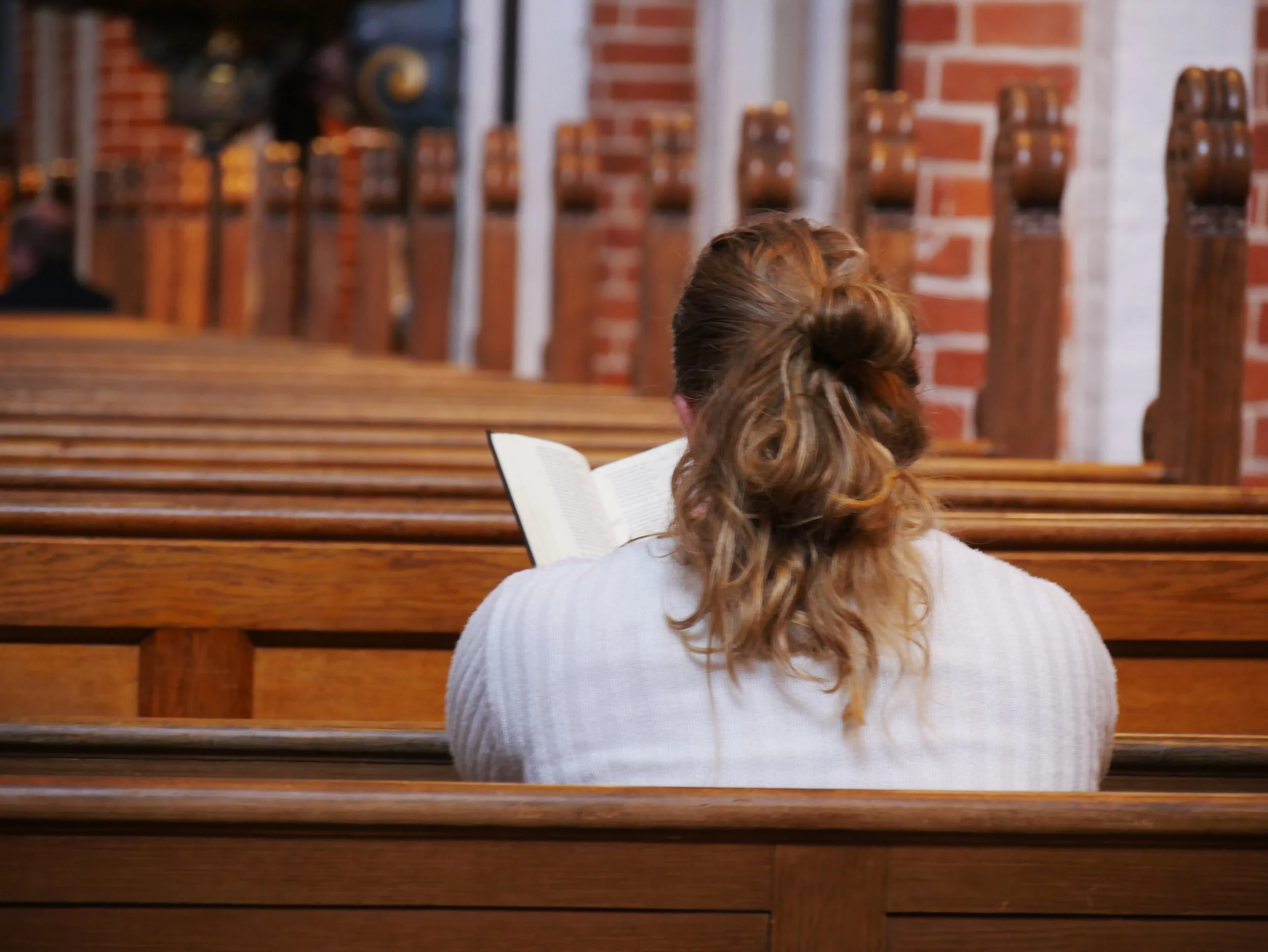 row - 2025 - Digital photograph