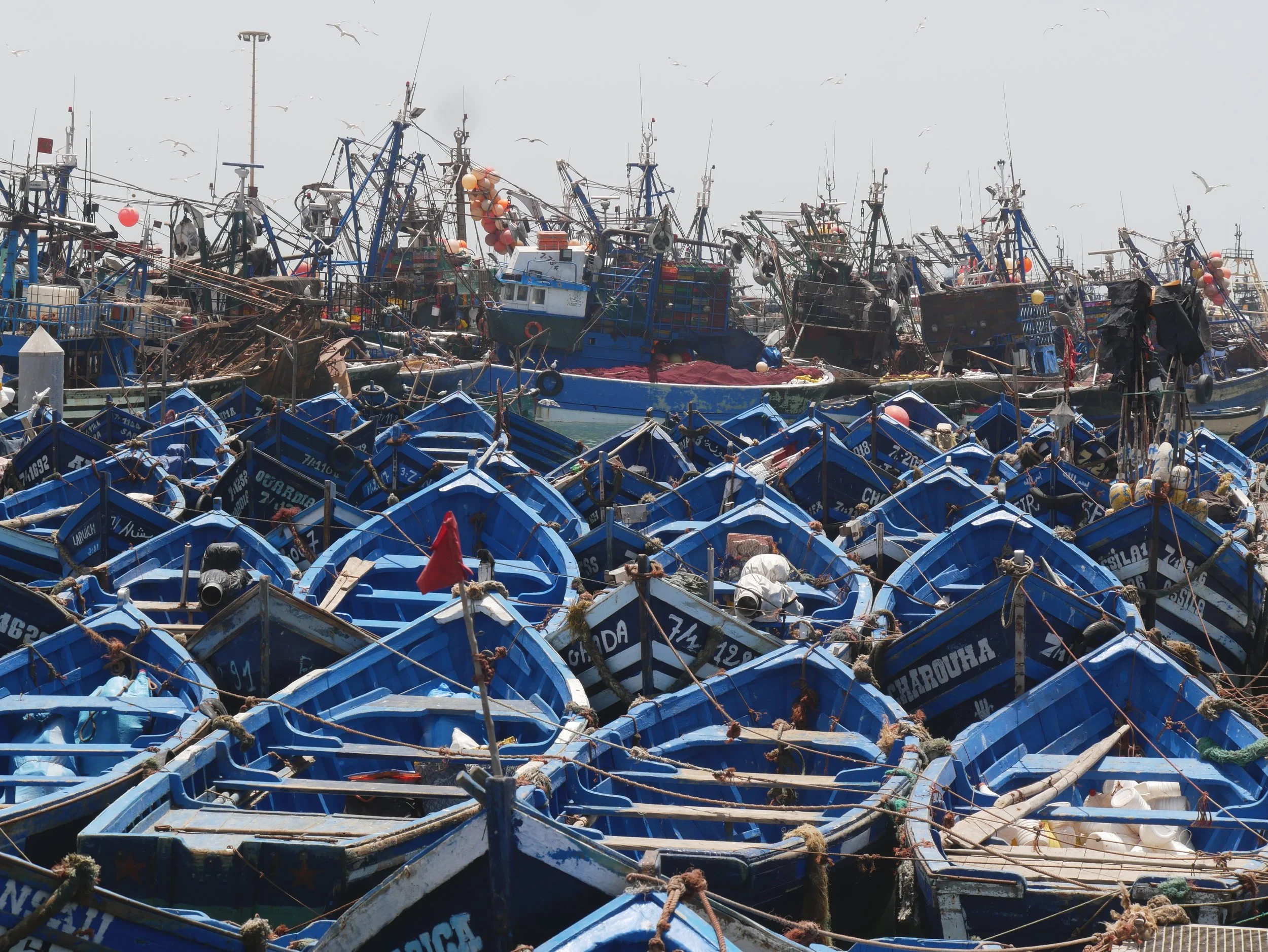 bateaux de pêche à Essaouira (les sardines sont attirées par la couleur bleu) - 2019 - Digital photograph