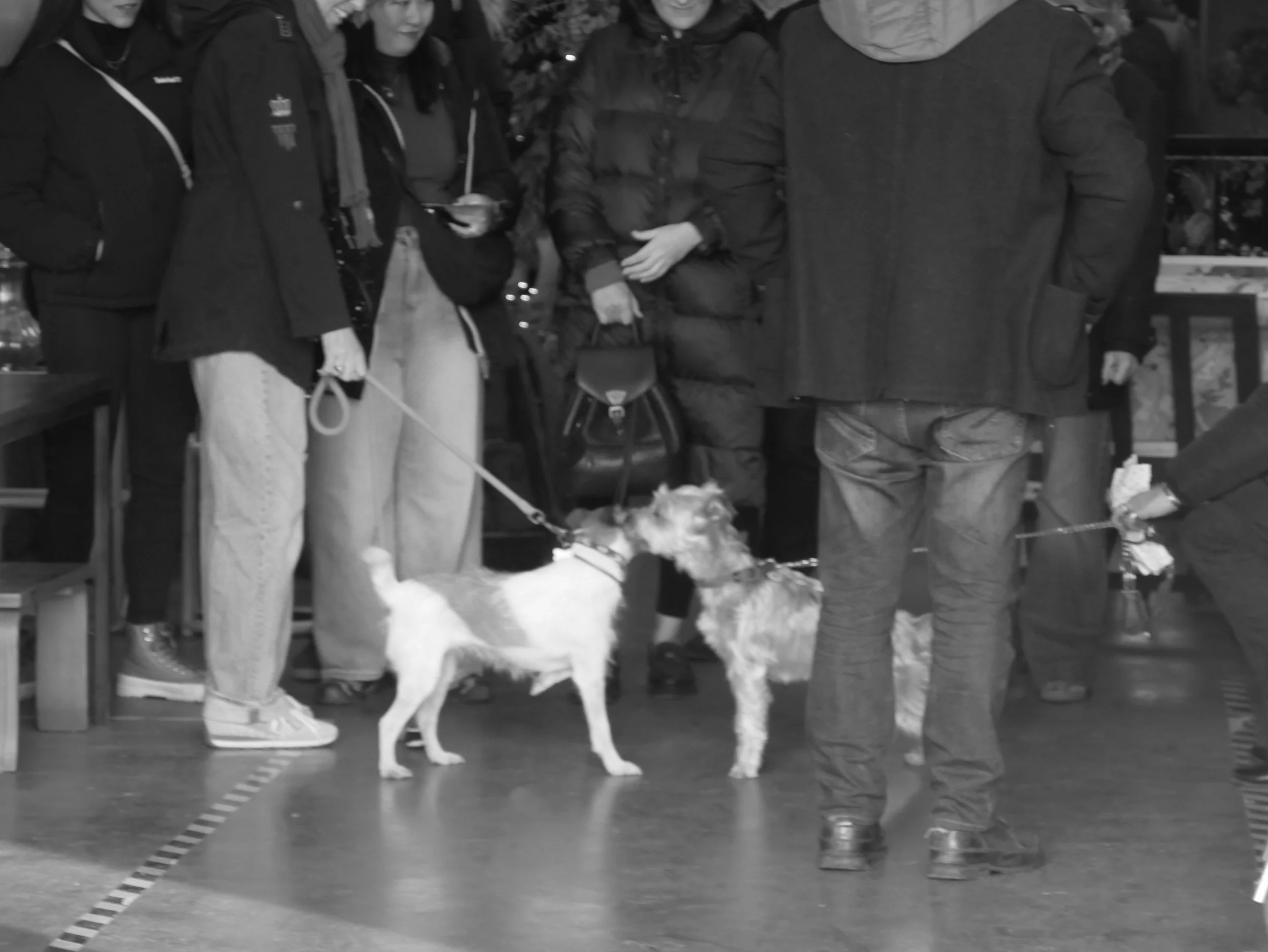 taut - 2025 - Digital photograph